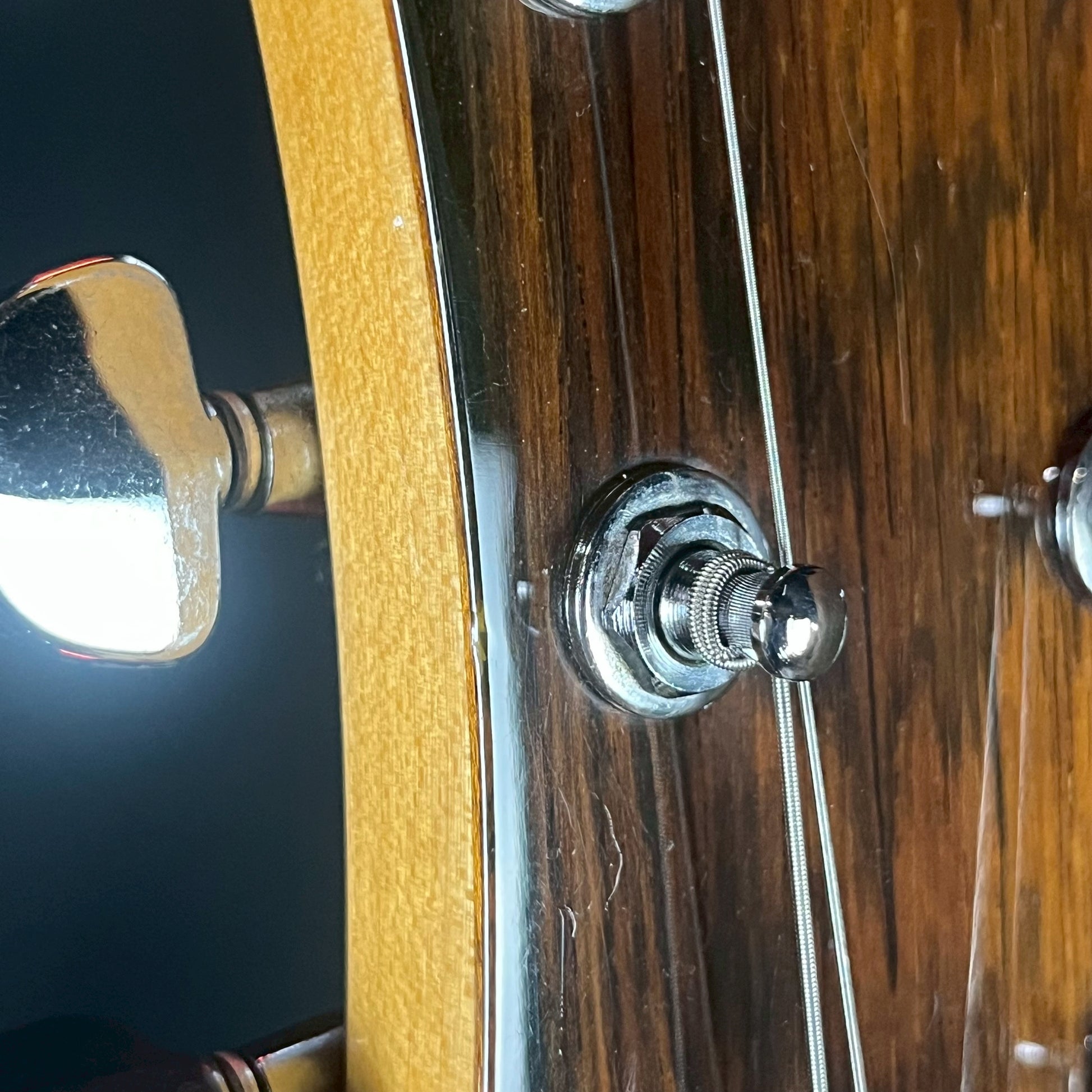 FERNANDES MG-70X Mod