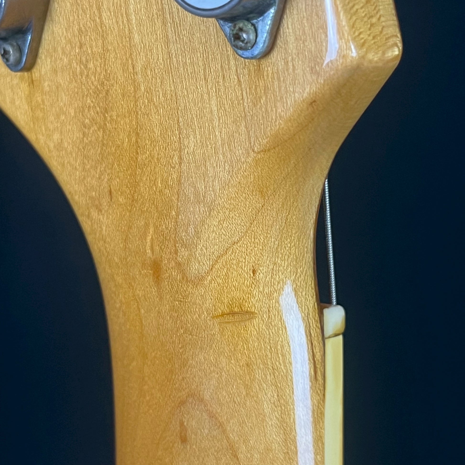 FERNANDES MG-70X Mod