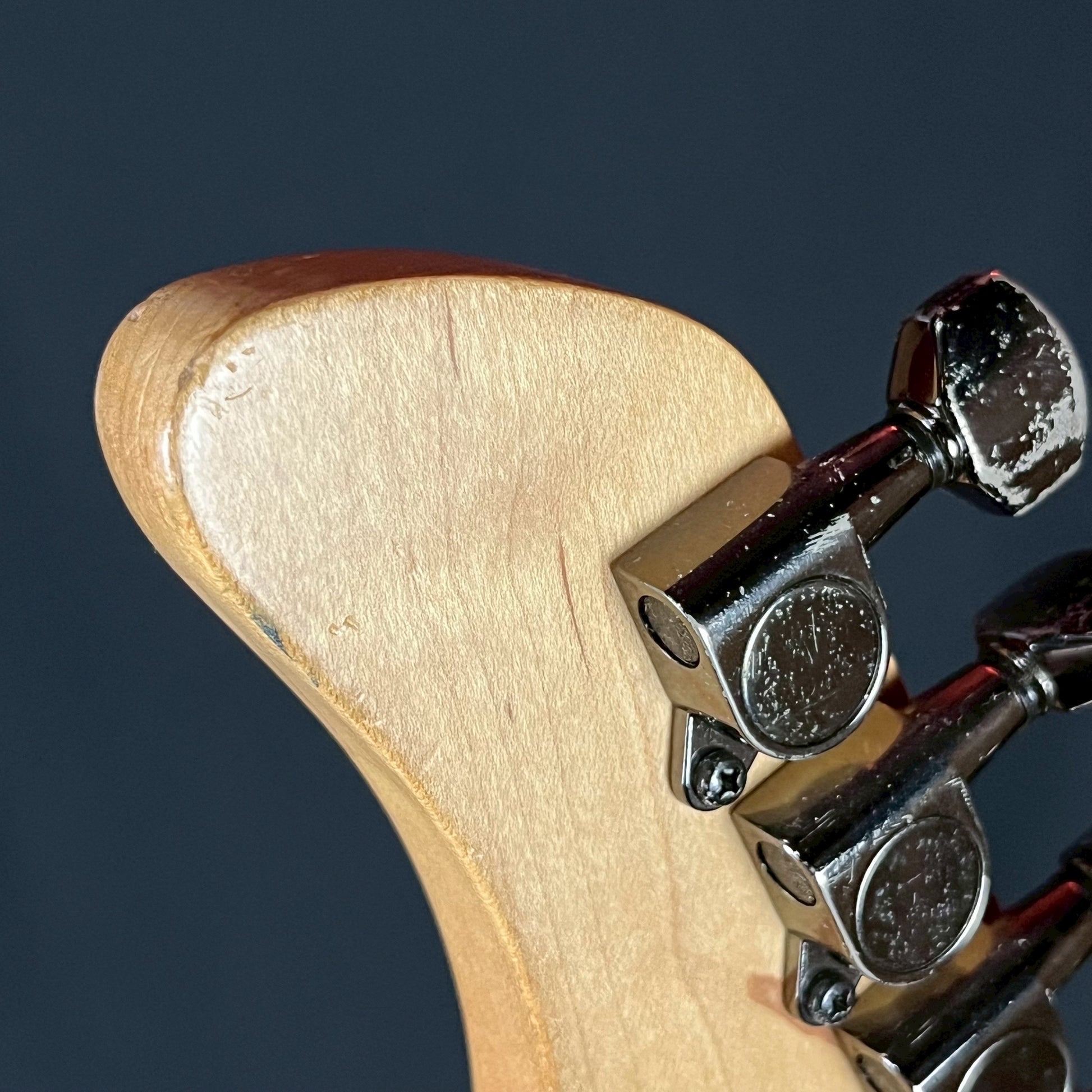 Fernandes FR-55S Sustainer