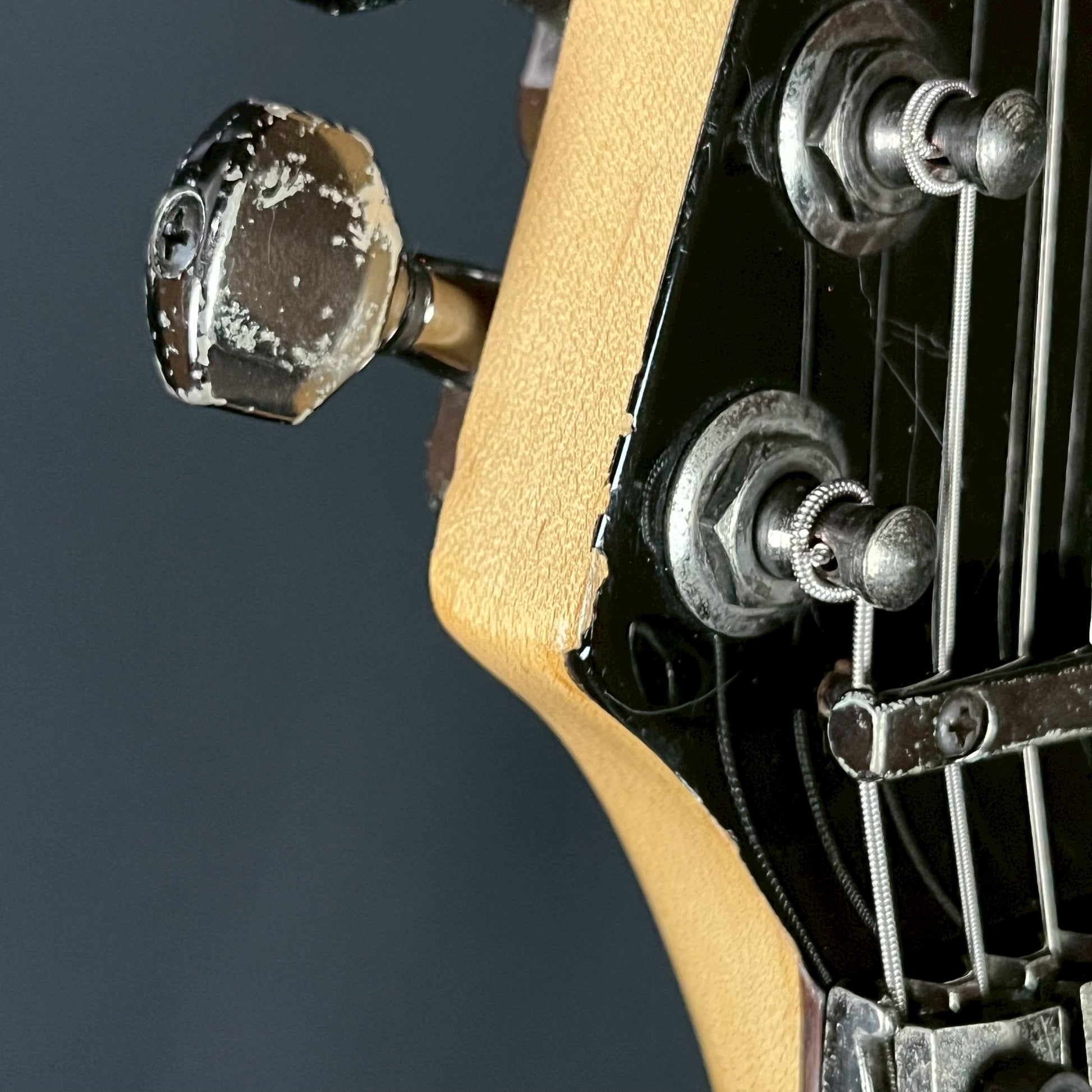 Fernandes FR-55S Sustainer