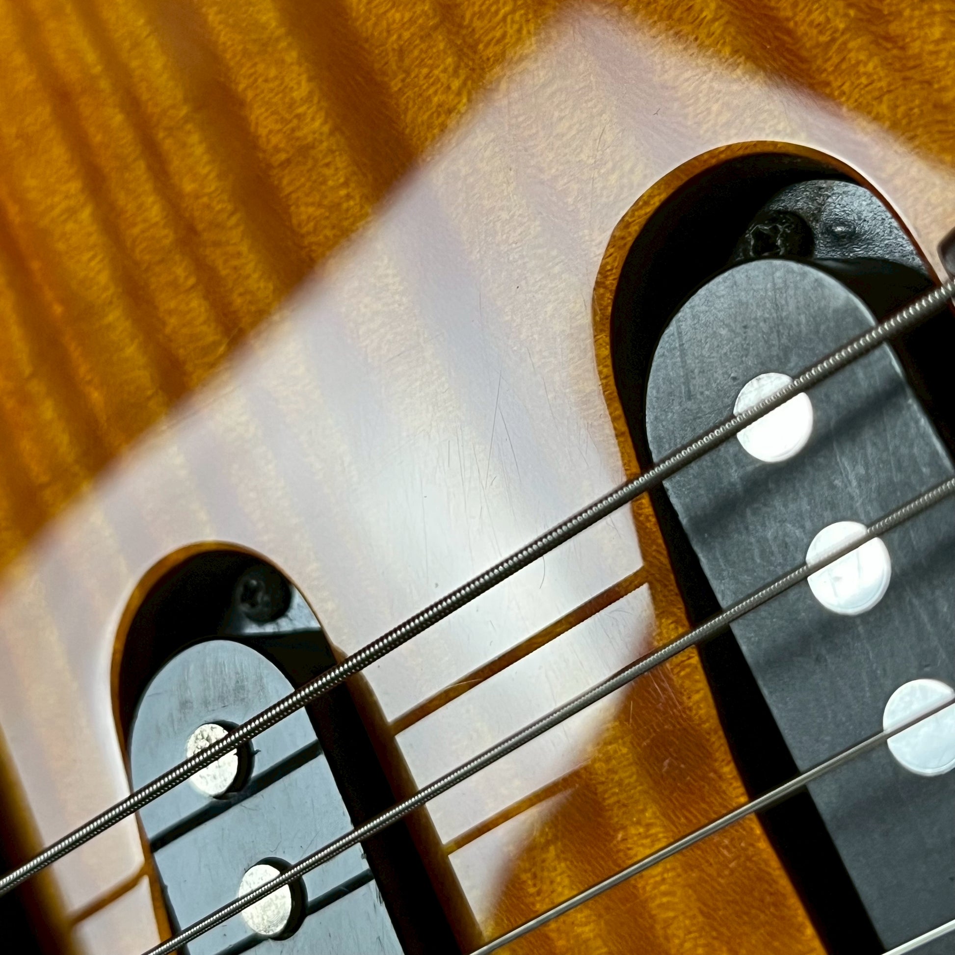 Fernandes FR-55S Sustainer