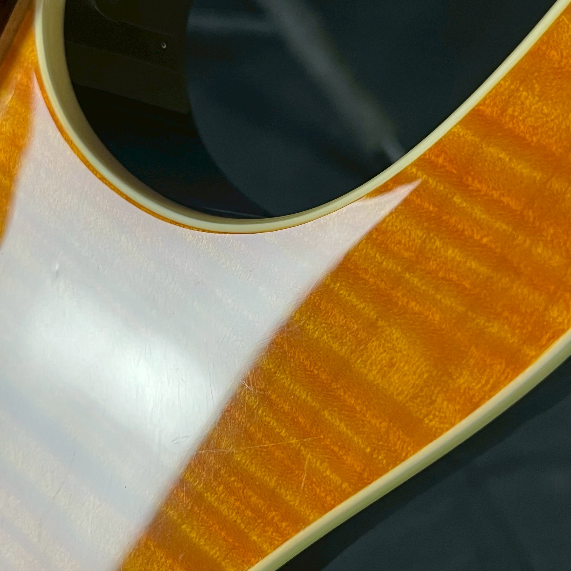 Fernandes FR-55S Sustainer