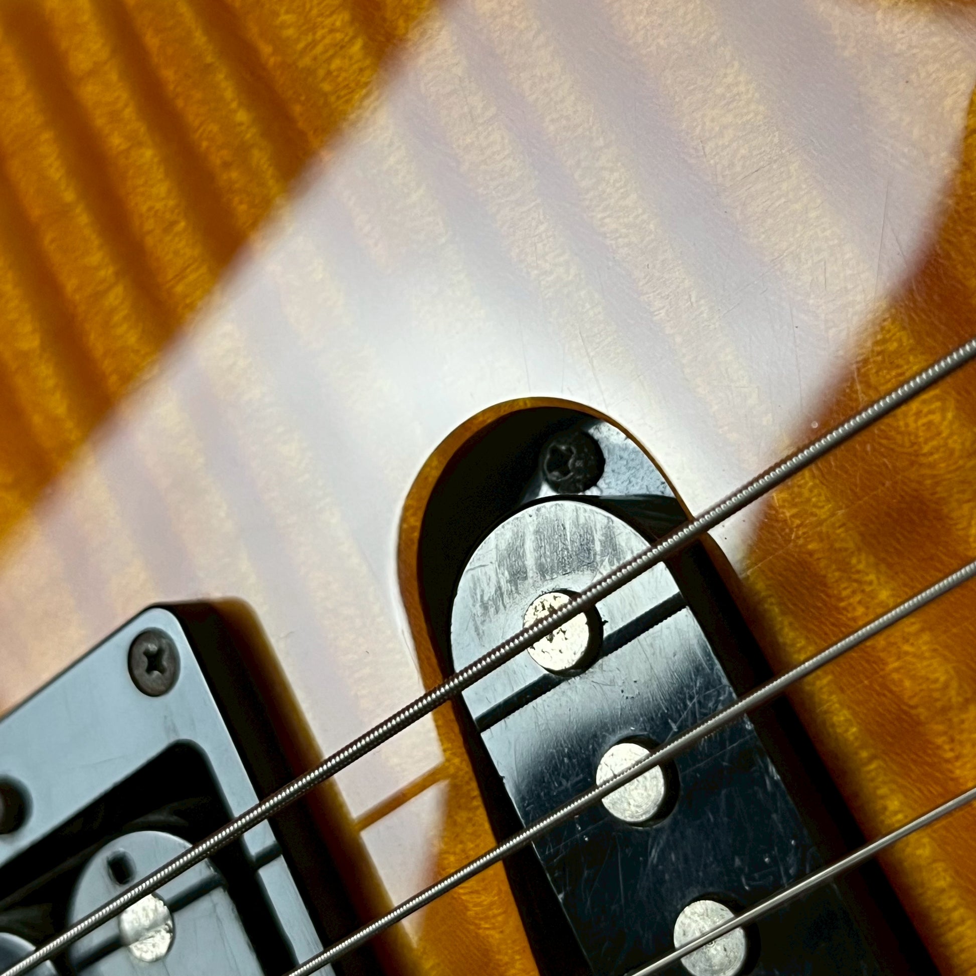 Fernandes FR-55S Sustainer