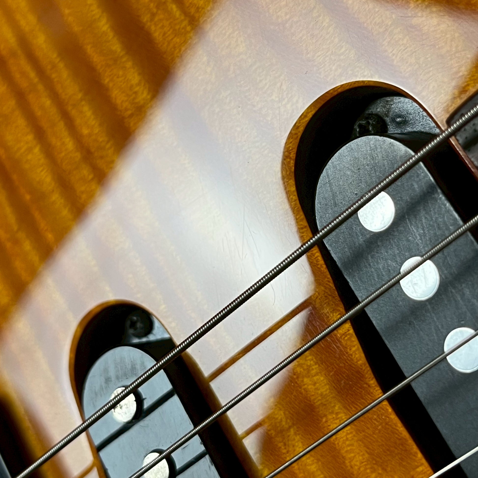 Fernandes FR-55S Sustainer