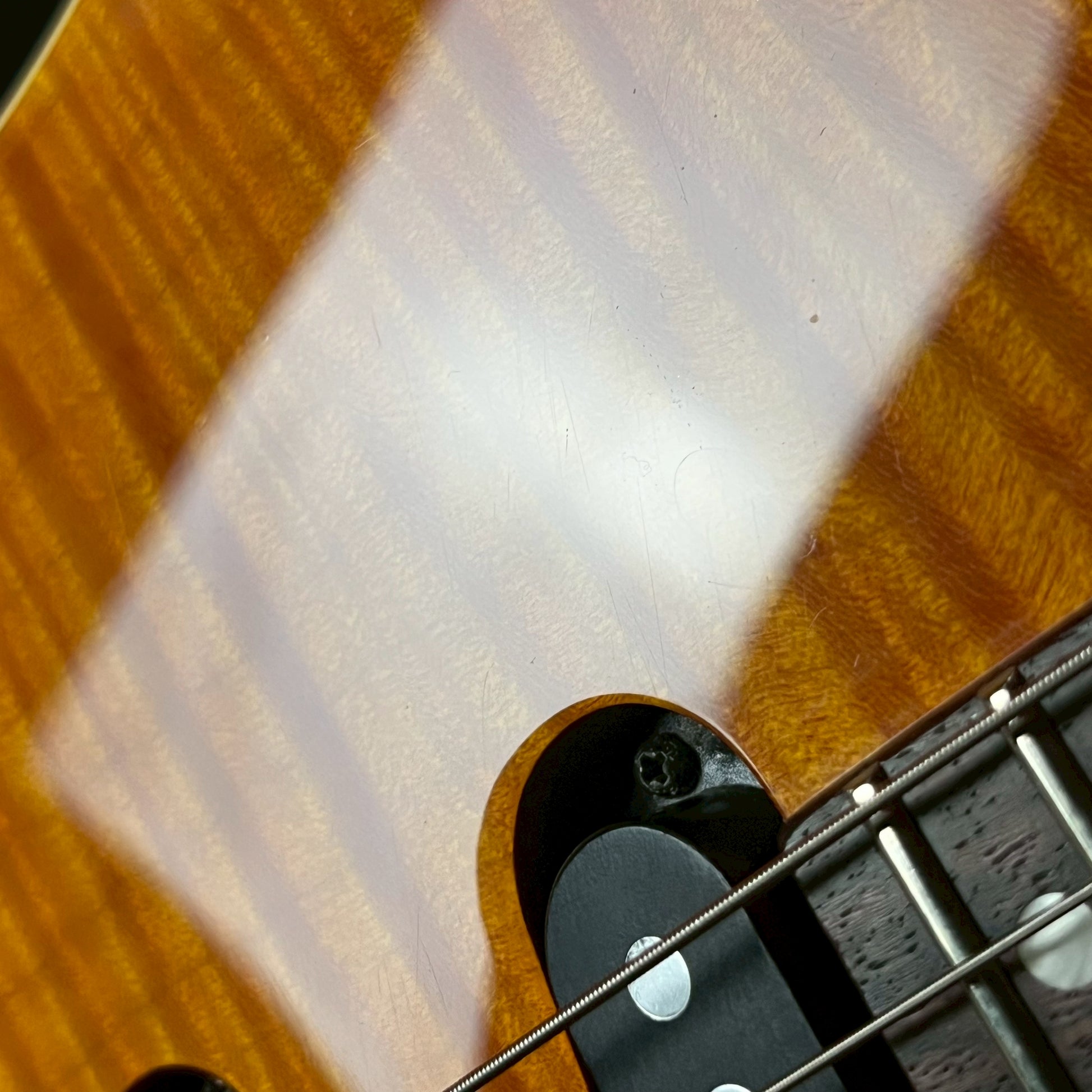 Fernandes FR-55S Sustainer