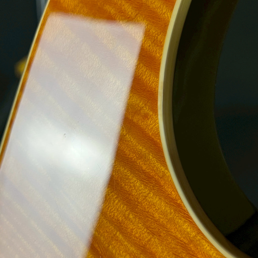 Fernandes FR-55S Sustainer