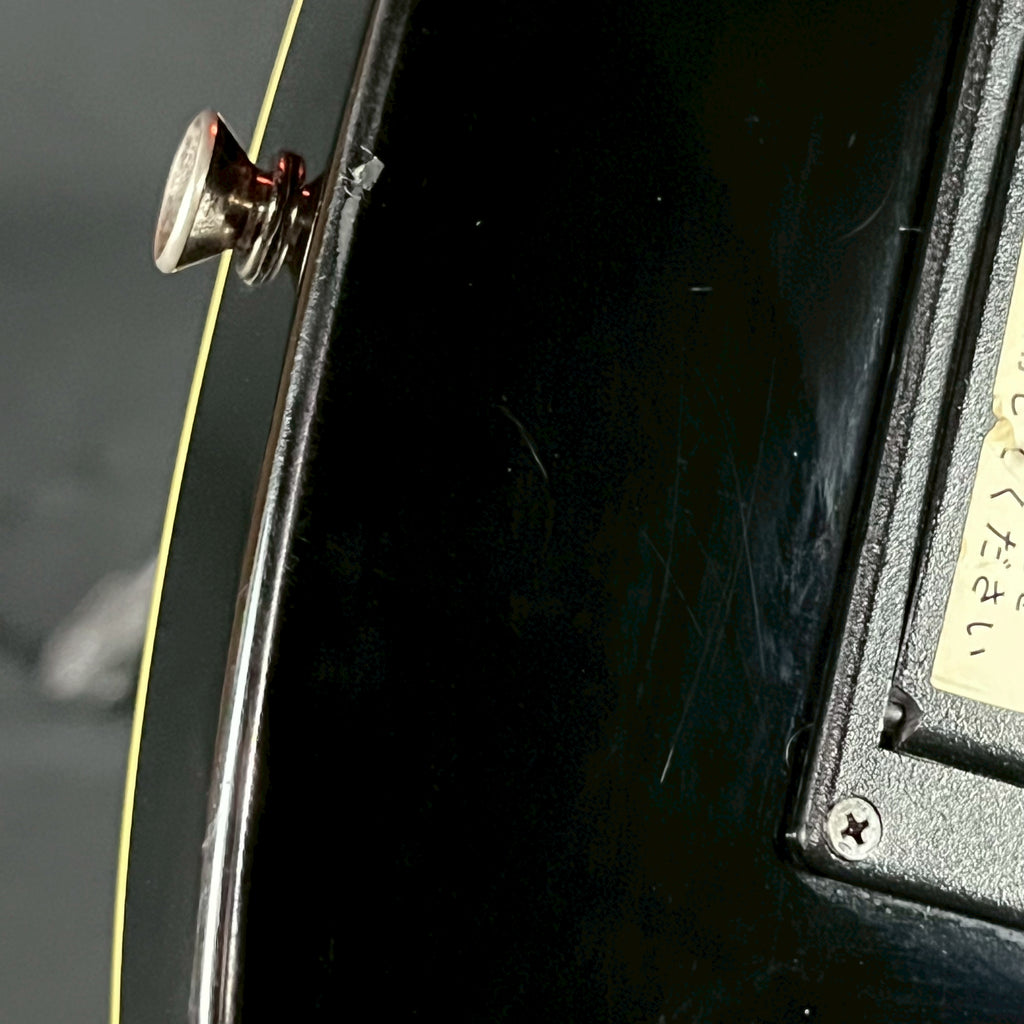 Fernandes FR-55S Sustainer