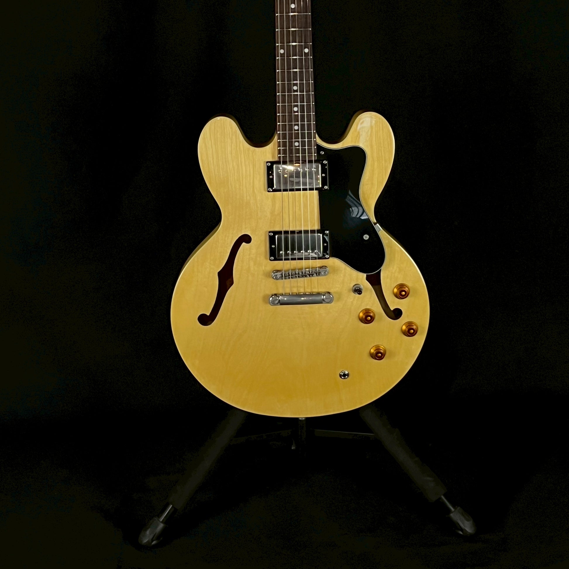 Epiphone DOT NA