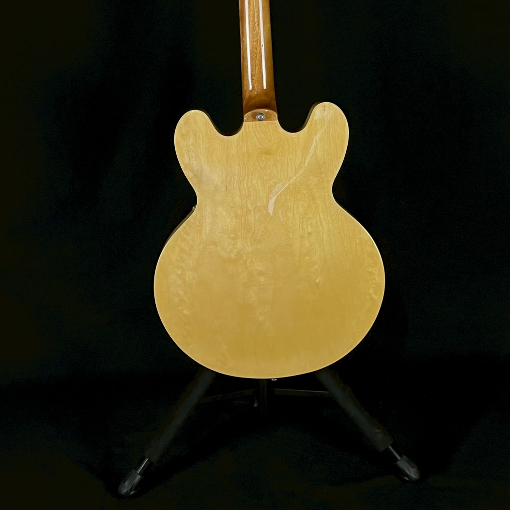 Epiphone DOT NA