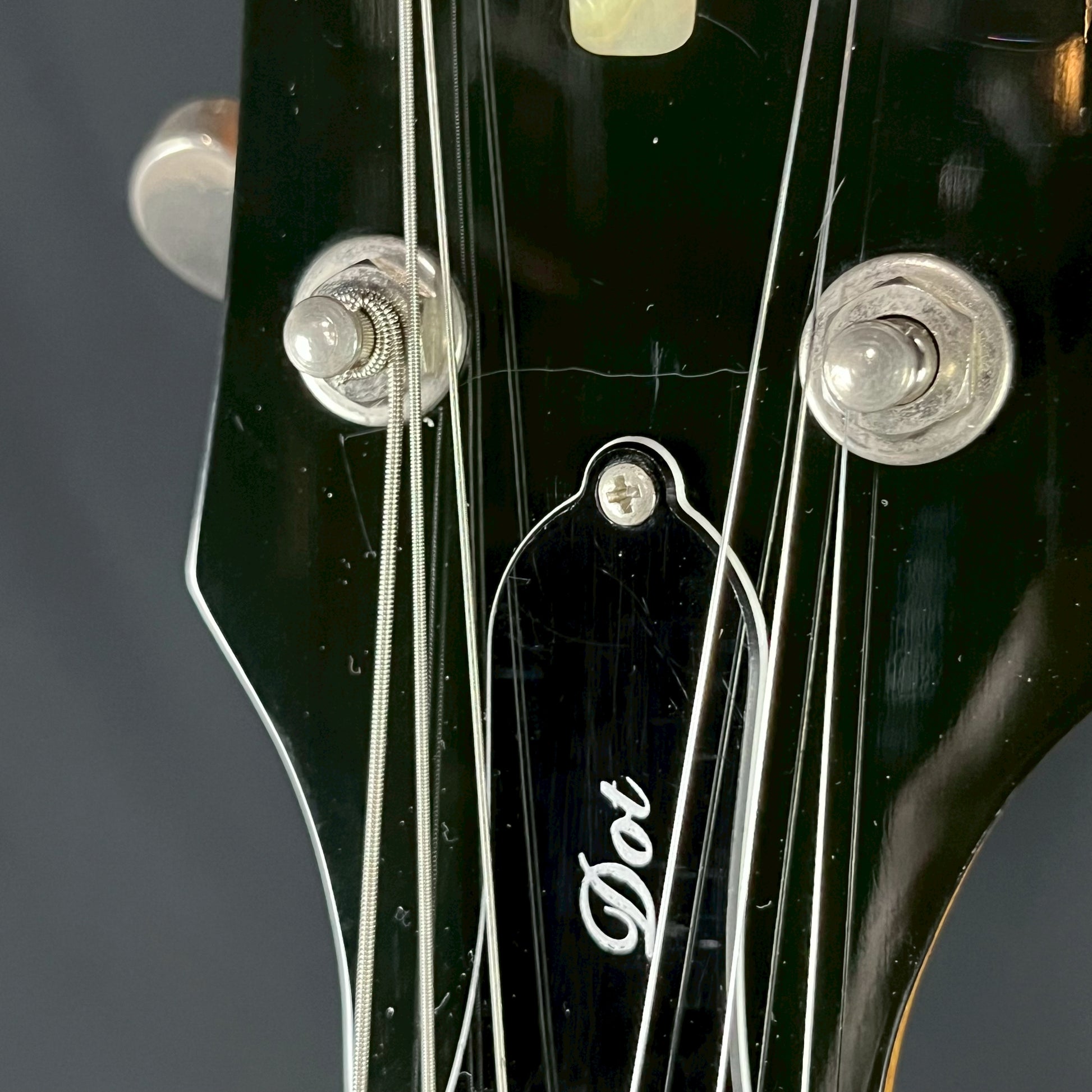 Epiphone DOT NA