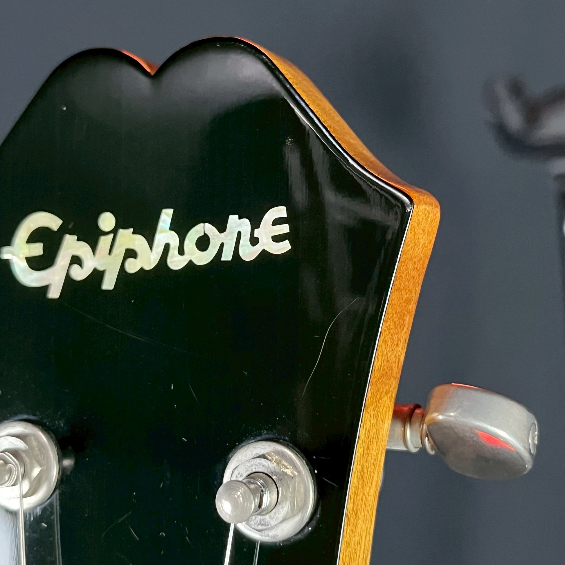 Epiphone DOT NA