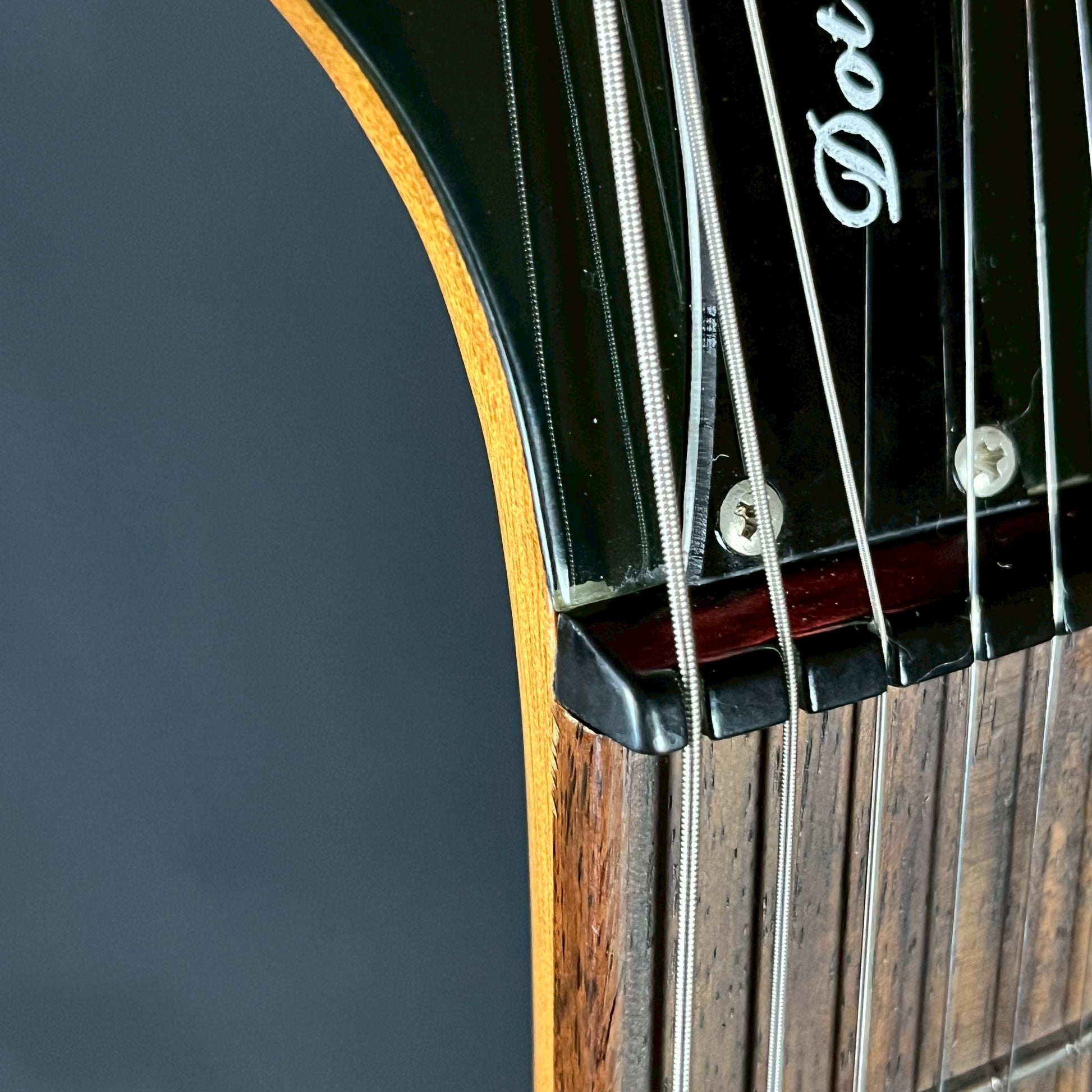 Epiphone DOT NA