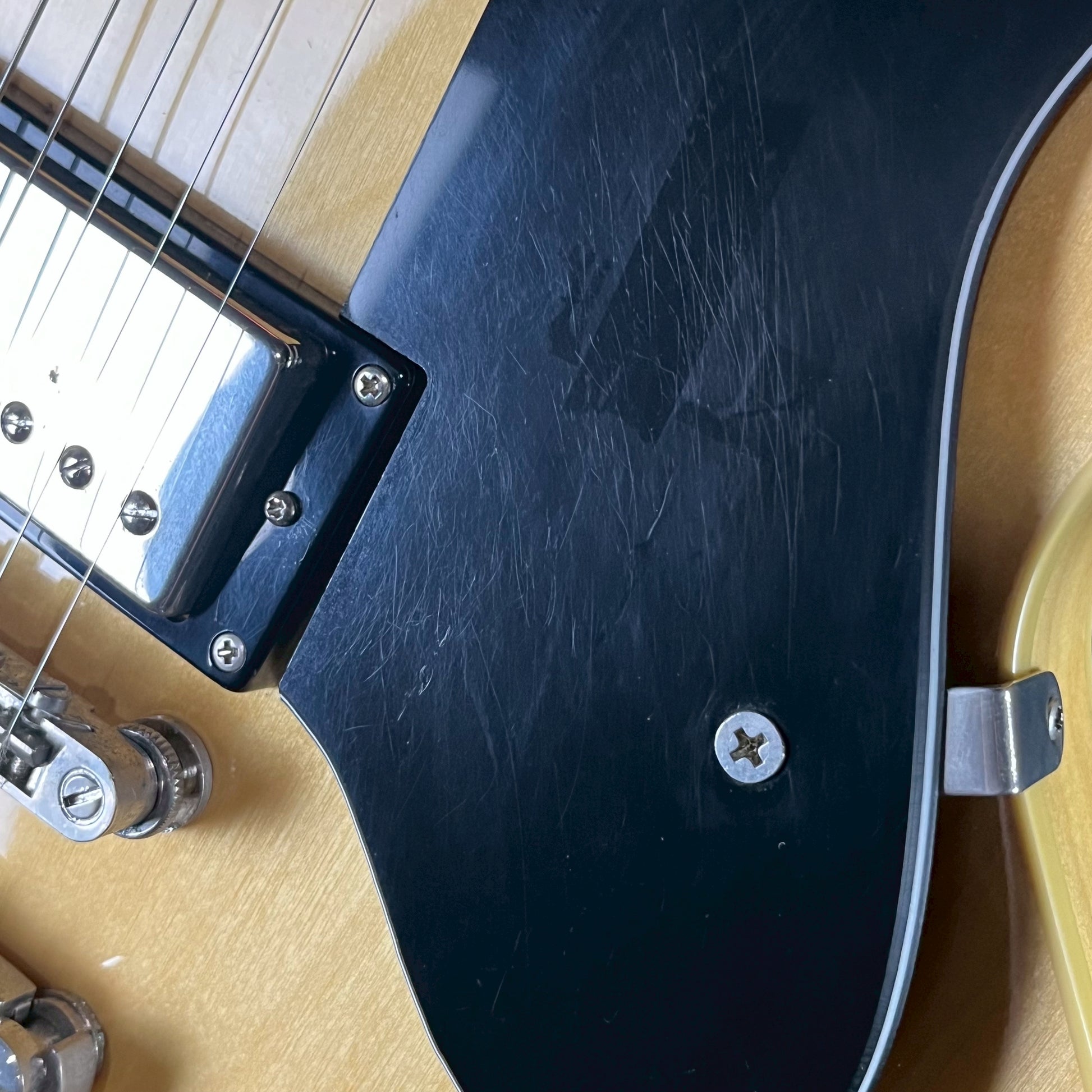 Epiphone DOT NA