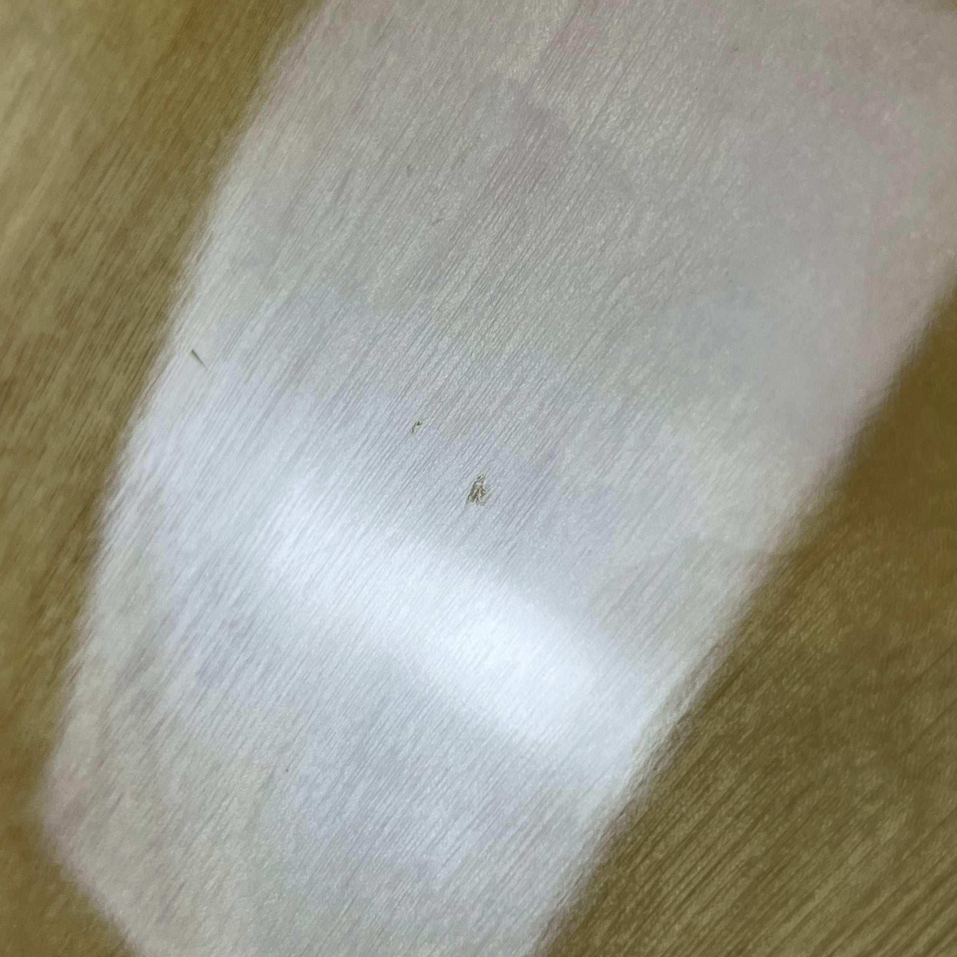 Epiphone DOT NA