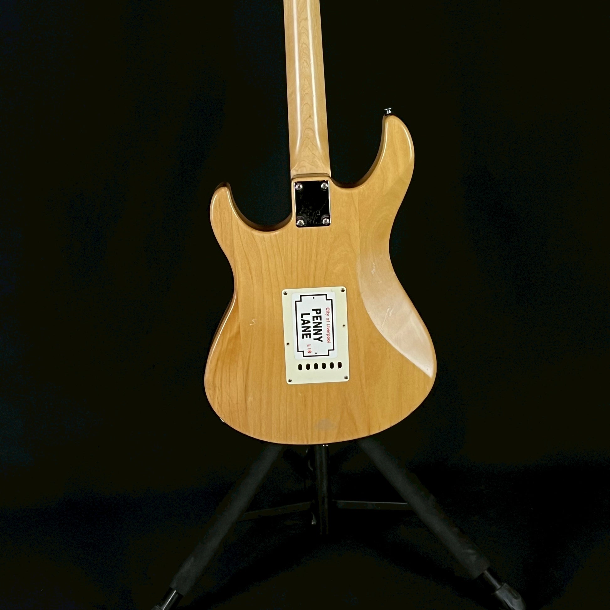 YAMAHA PAC112M
