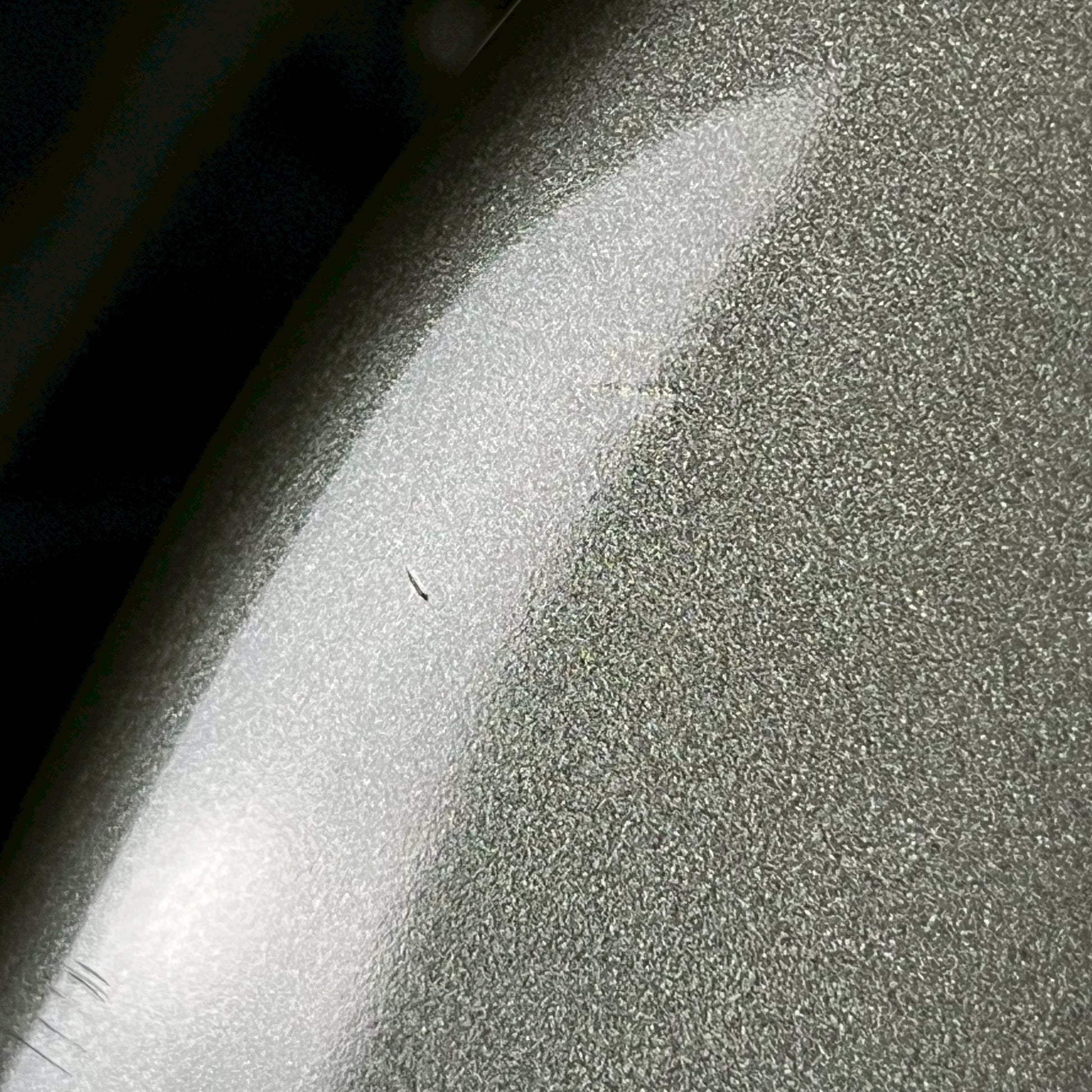 Fender Eric Clapton Lace Sensor Pewter