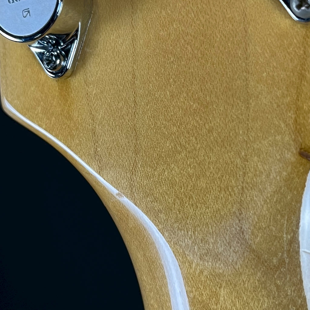 FERNANDES MG-70X Mod-2