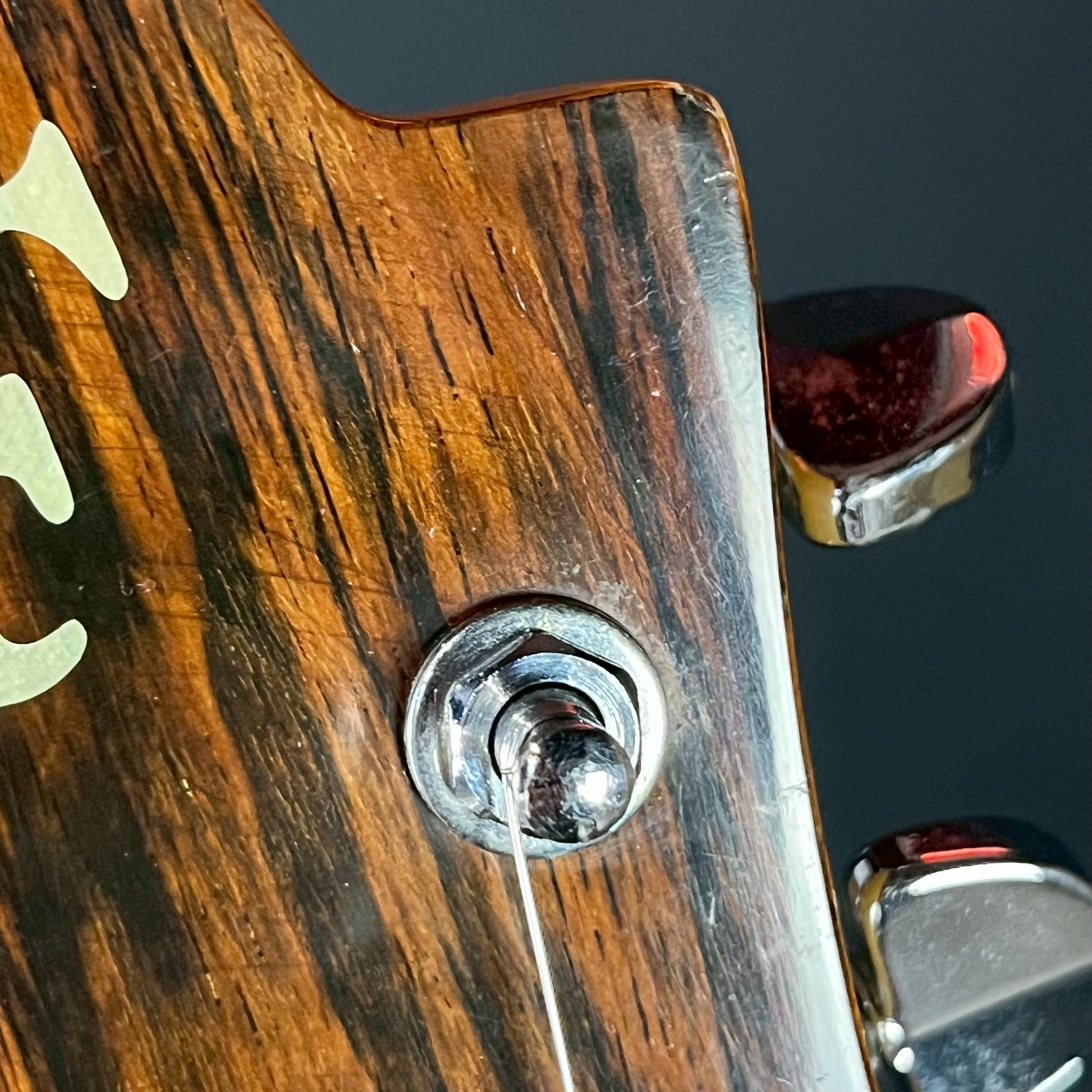 FERNANDES MG-70X Mod-2