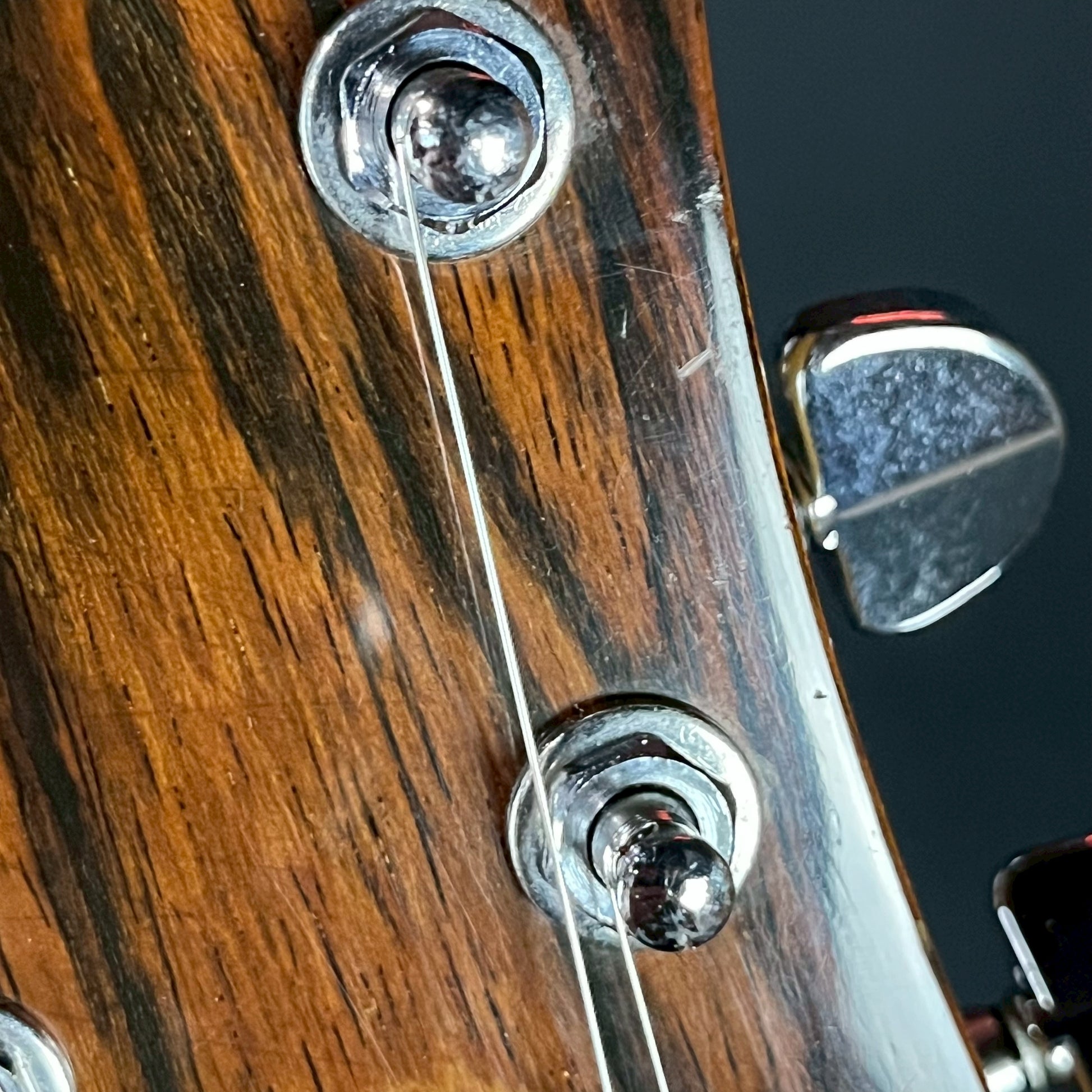FERNANDES MG-70X Mod-2