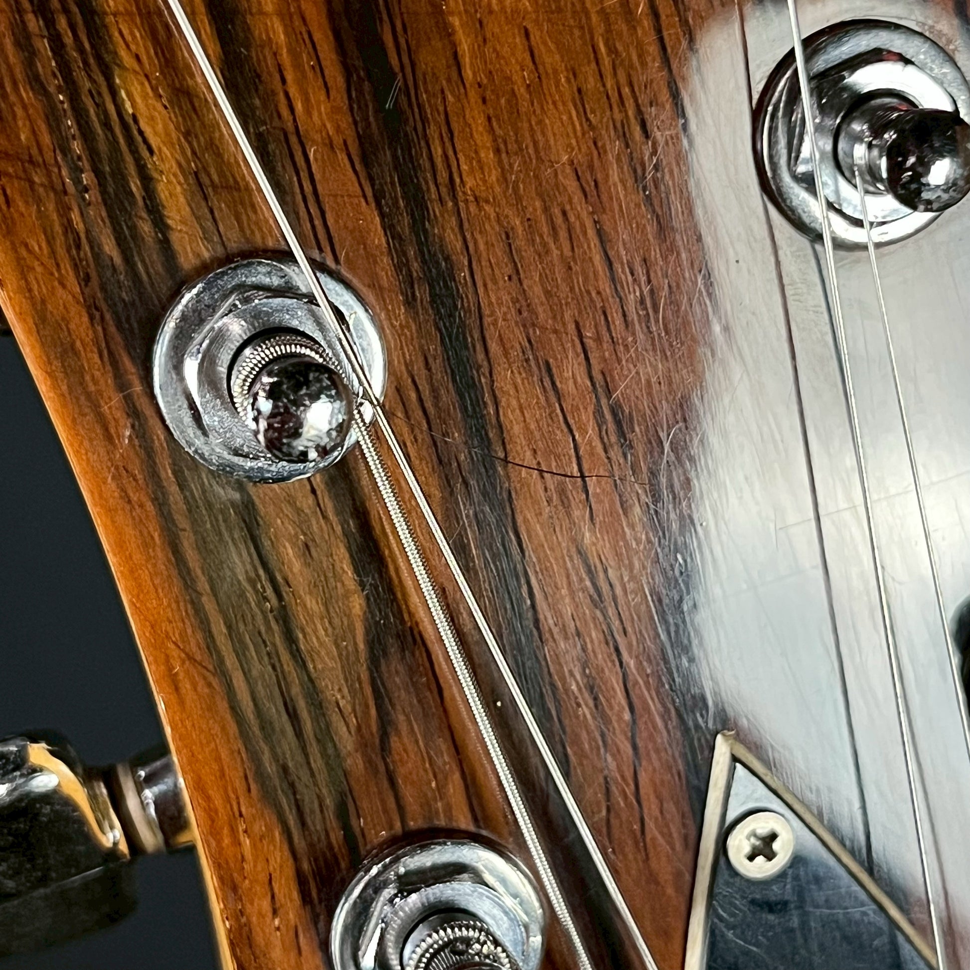 FERNANDES MG-70X Mod-2