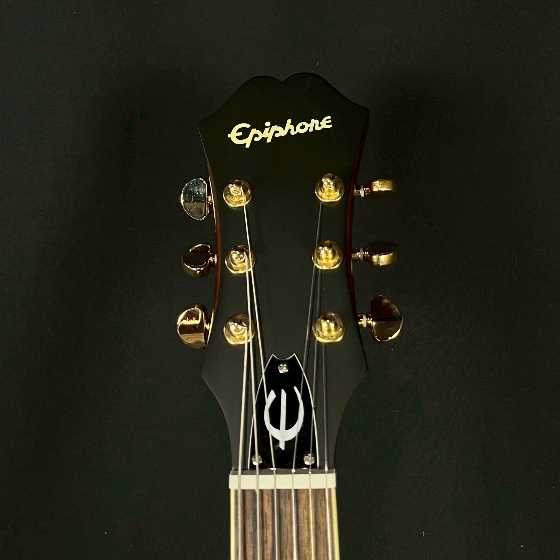 Epiphone Casino E230TD Insp By John Lennon 2009