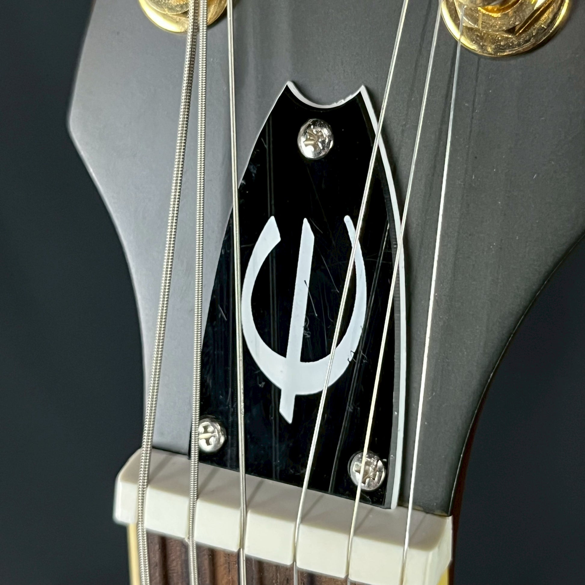 Epiphone Casino E230TD Insp By John Lennon 2009