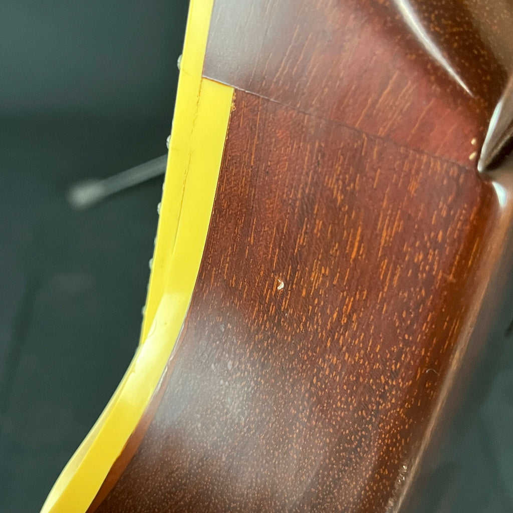FUJIGEN Les Paul Gold Top