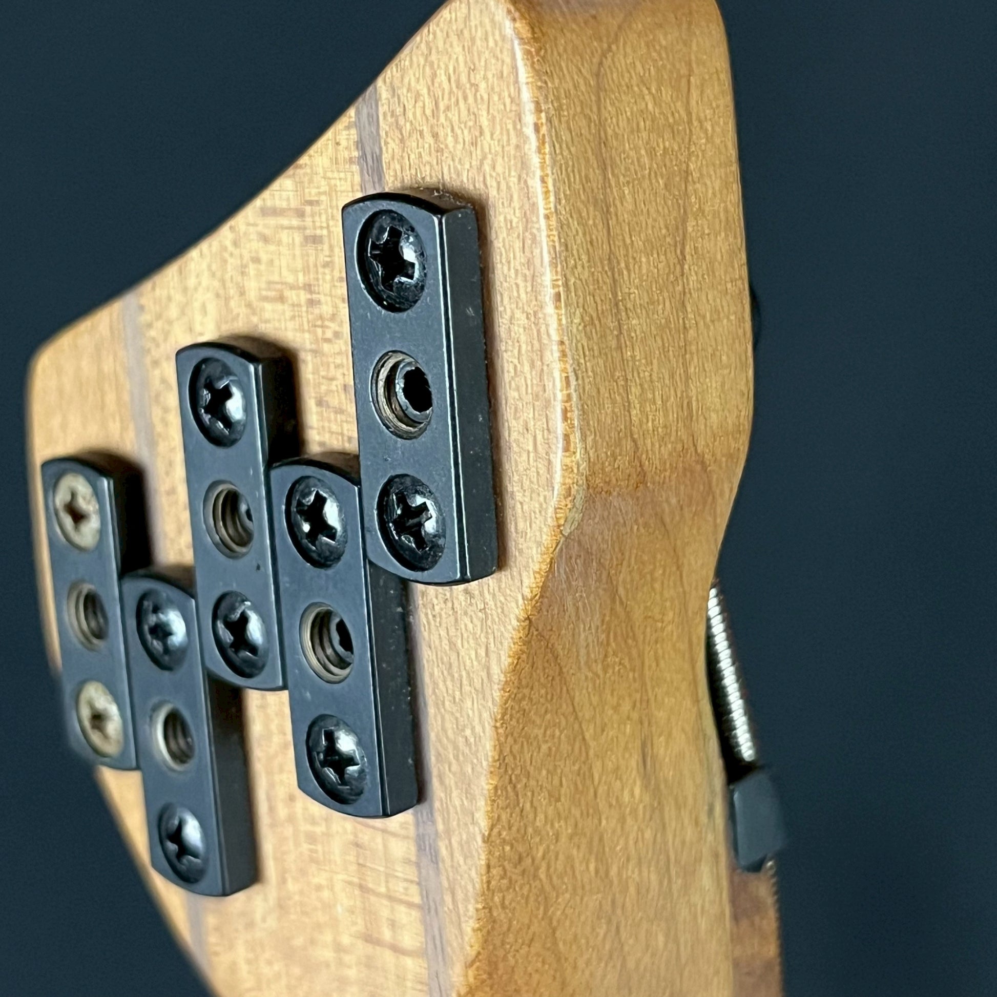 Ibanez EHB1005SMS