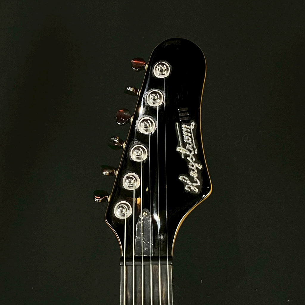 Hagstrom HIII-ABE Retroscape H-III