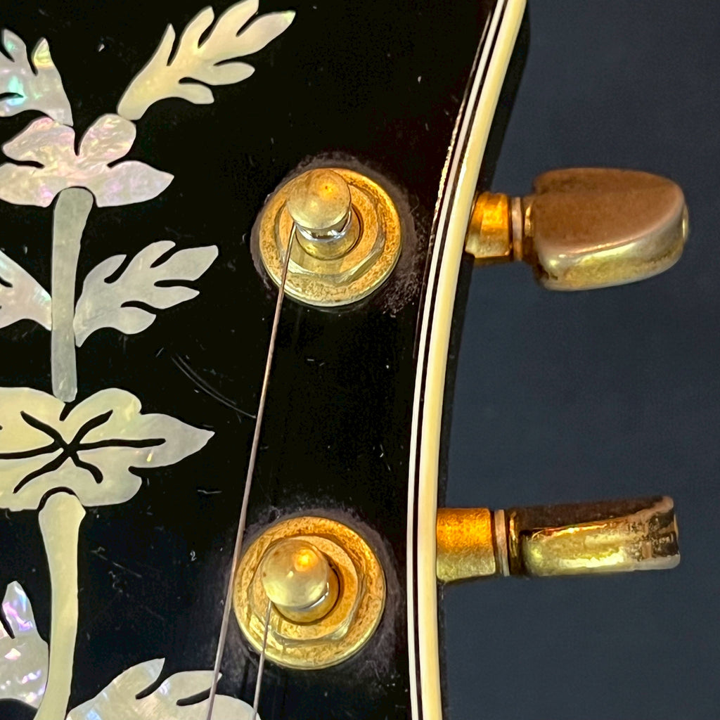 Epiphone Japan SHERATON