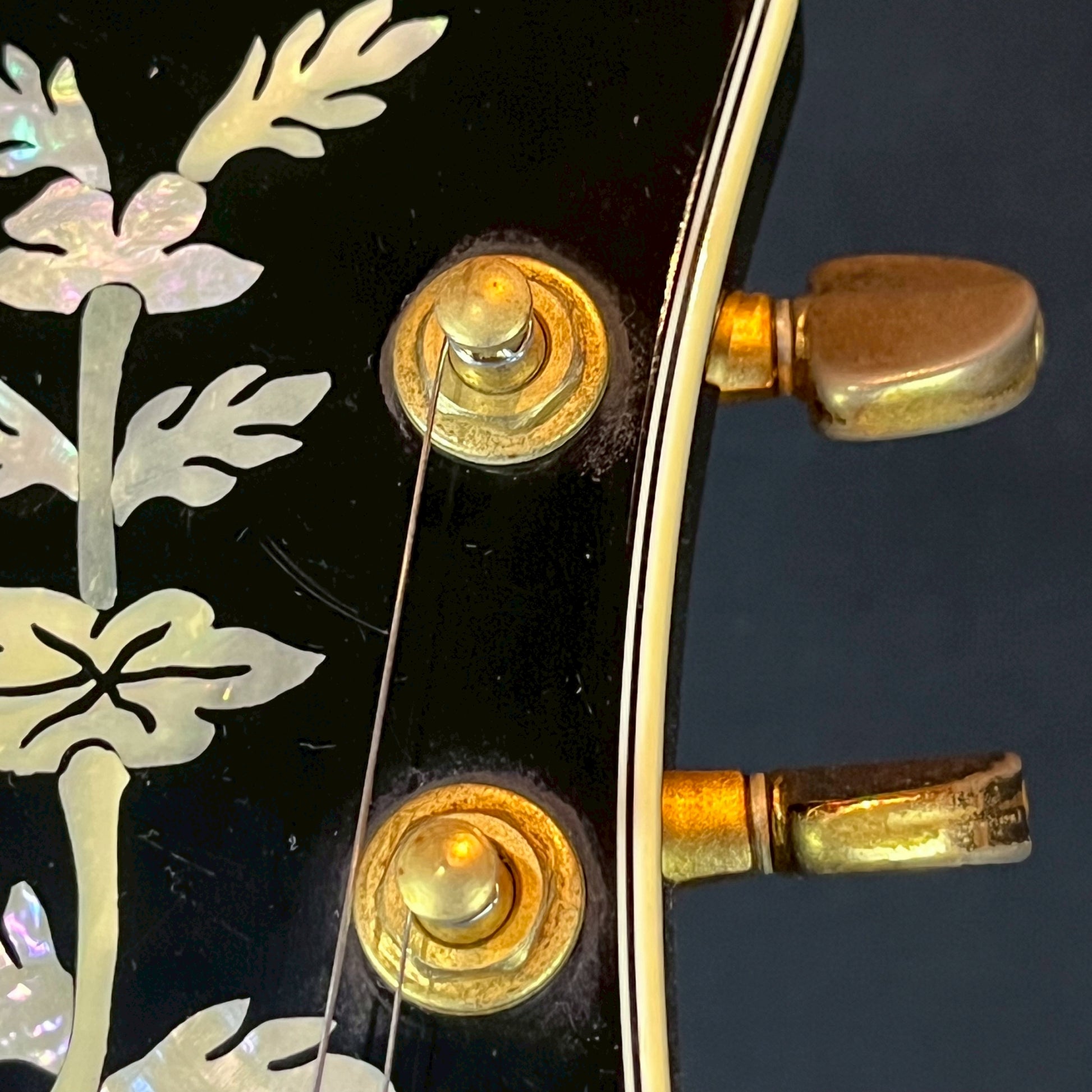Epiphone Japan SHERATON
