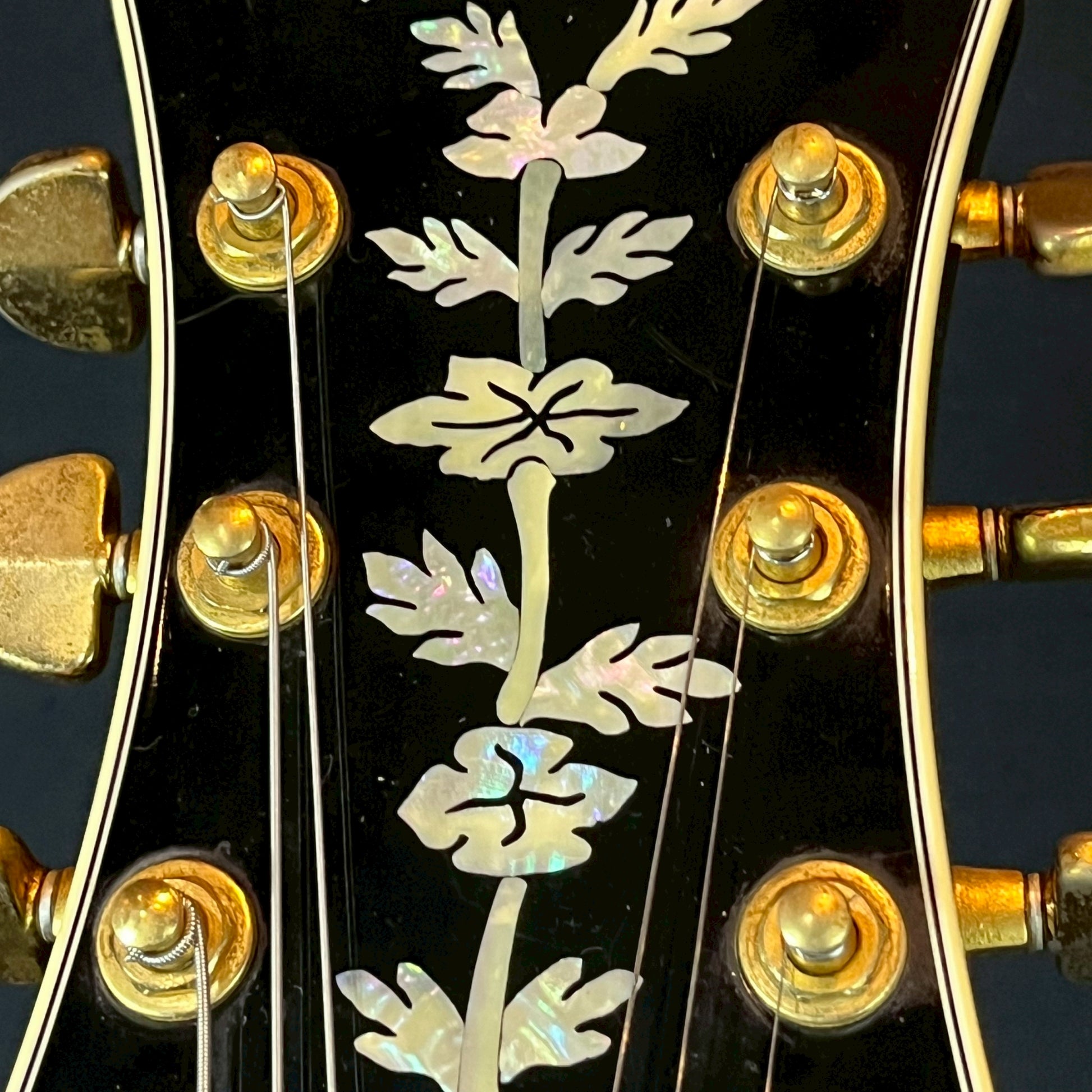Epiphone Japan SHERATON