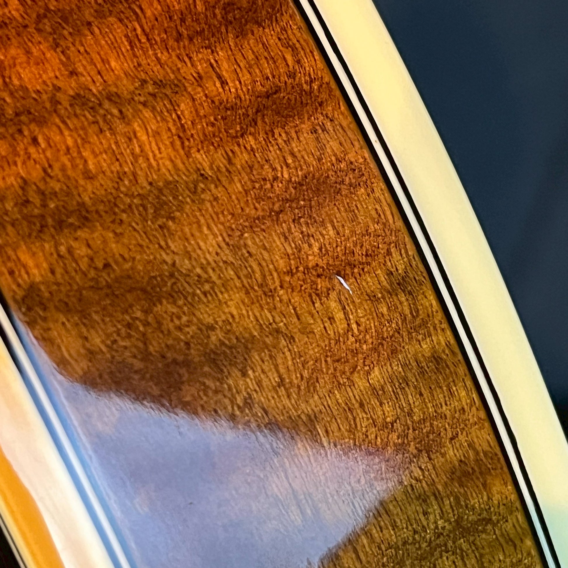 Epiphone Japan SHERATON