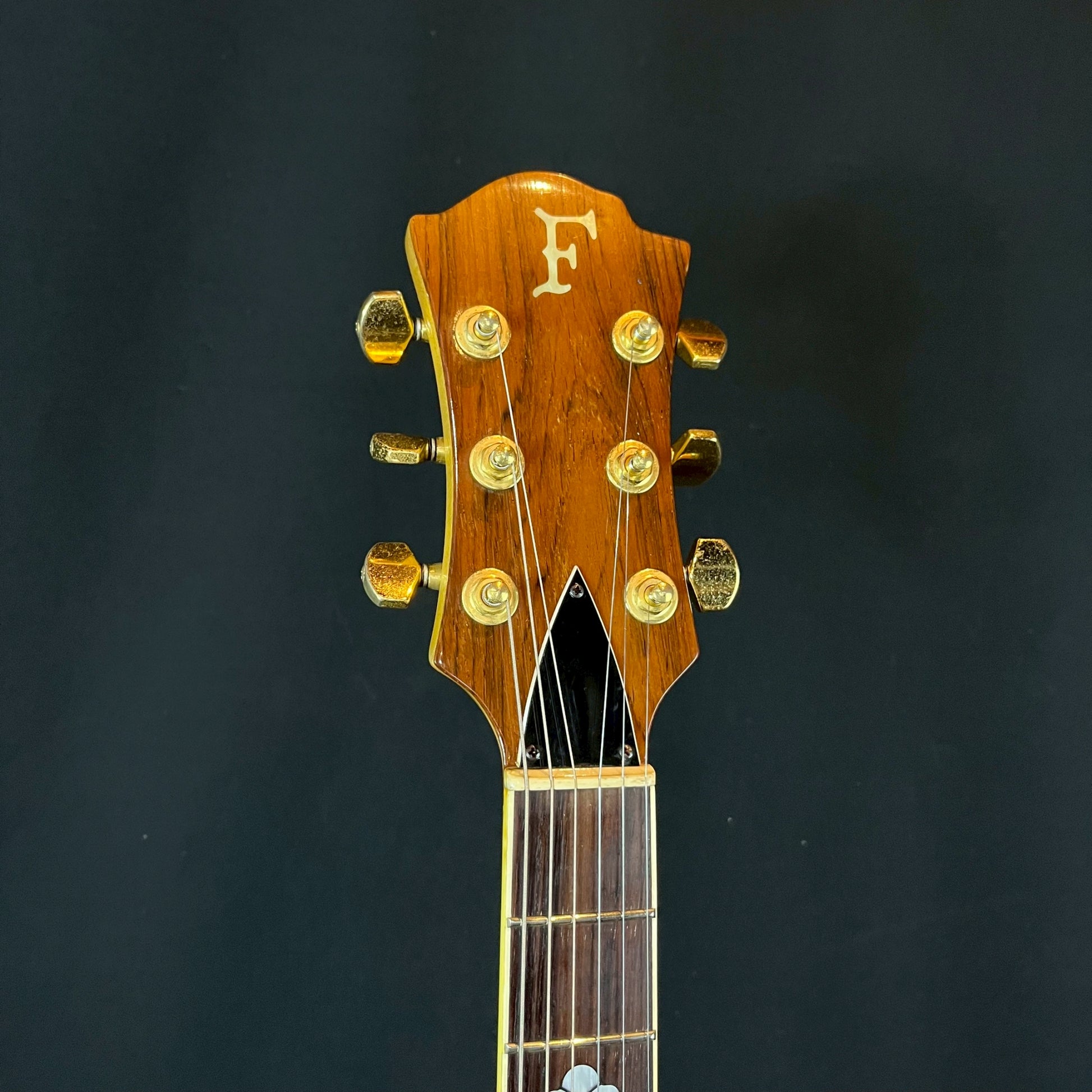 FERNANDES MG-80X
