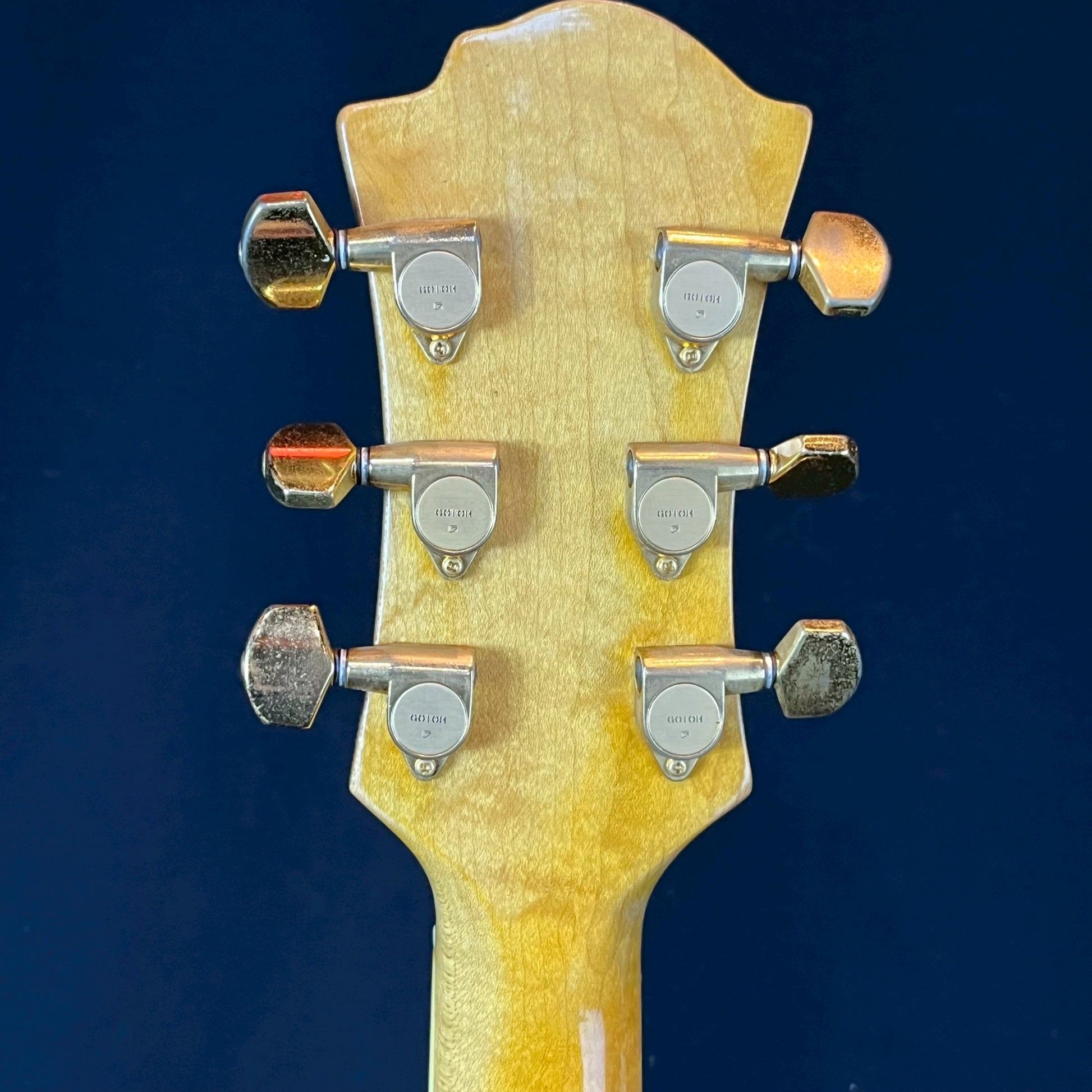 FERNANDES MG-80X