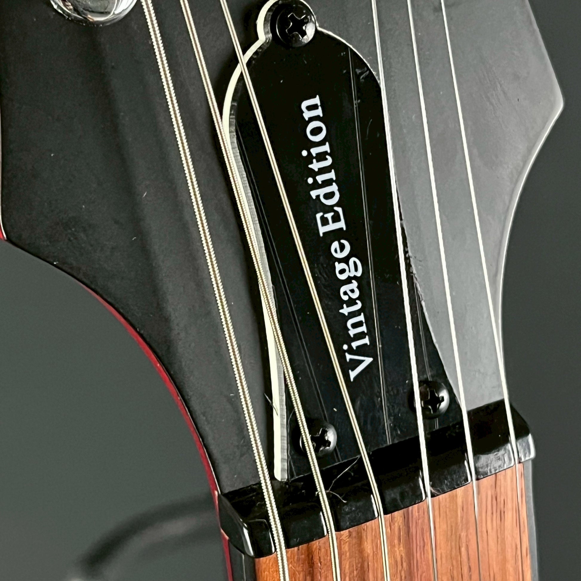 Epiphone Les Paul Special VE 2019