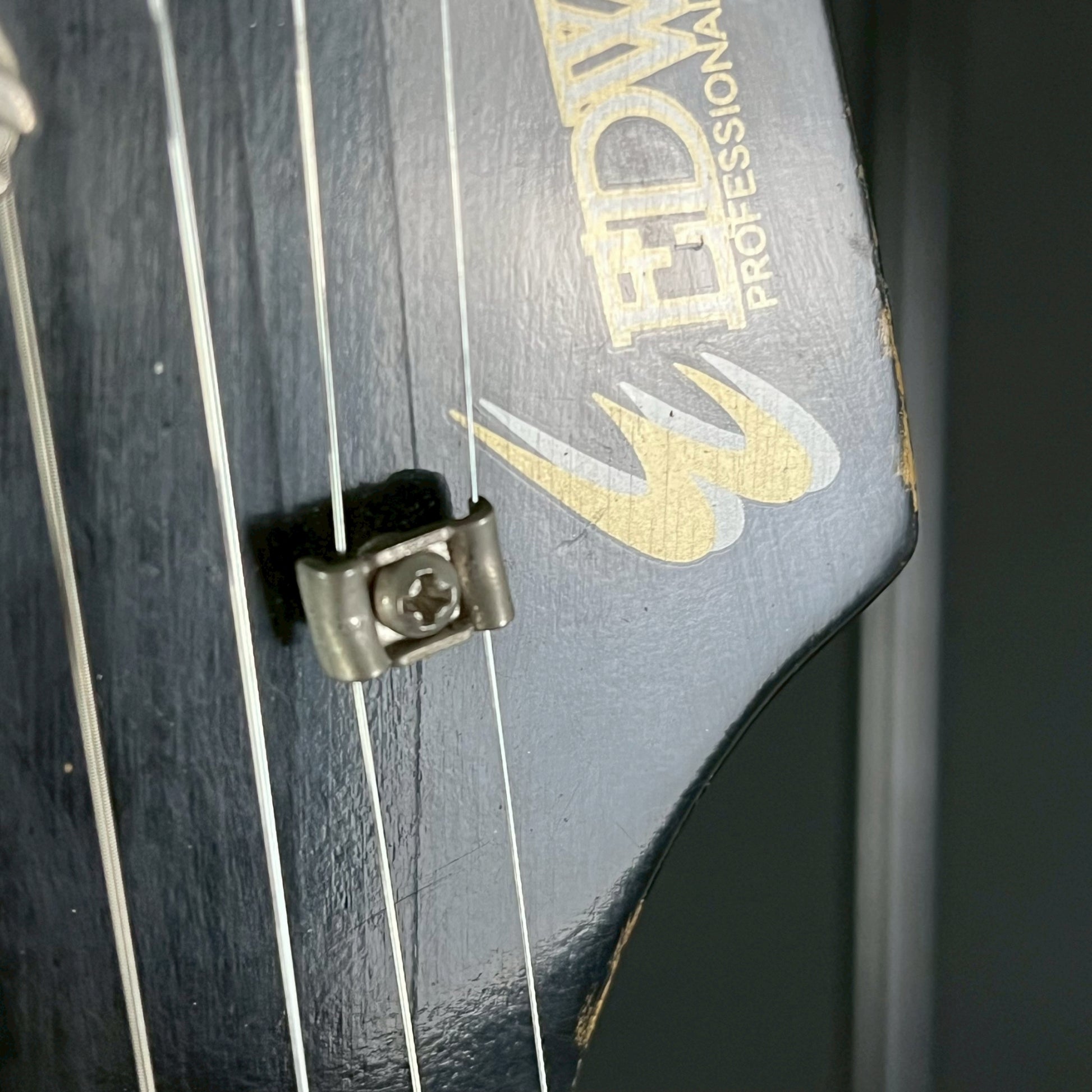 EDWARDS E-SE-S.K.I.N.