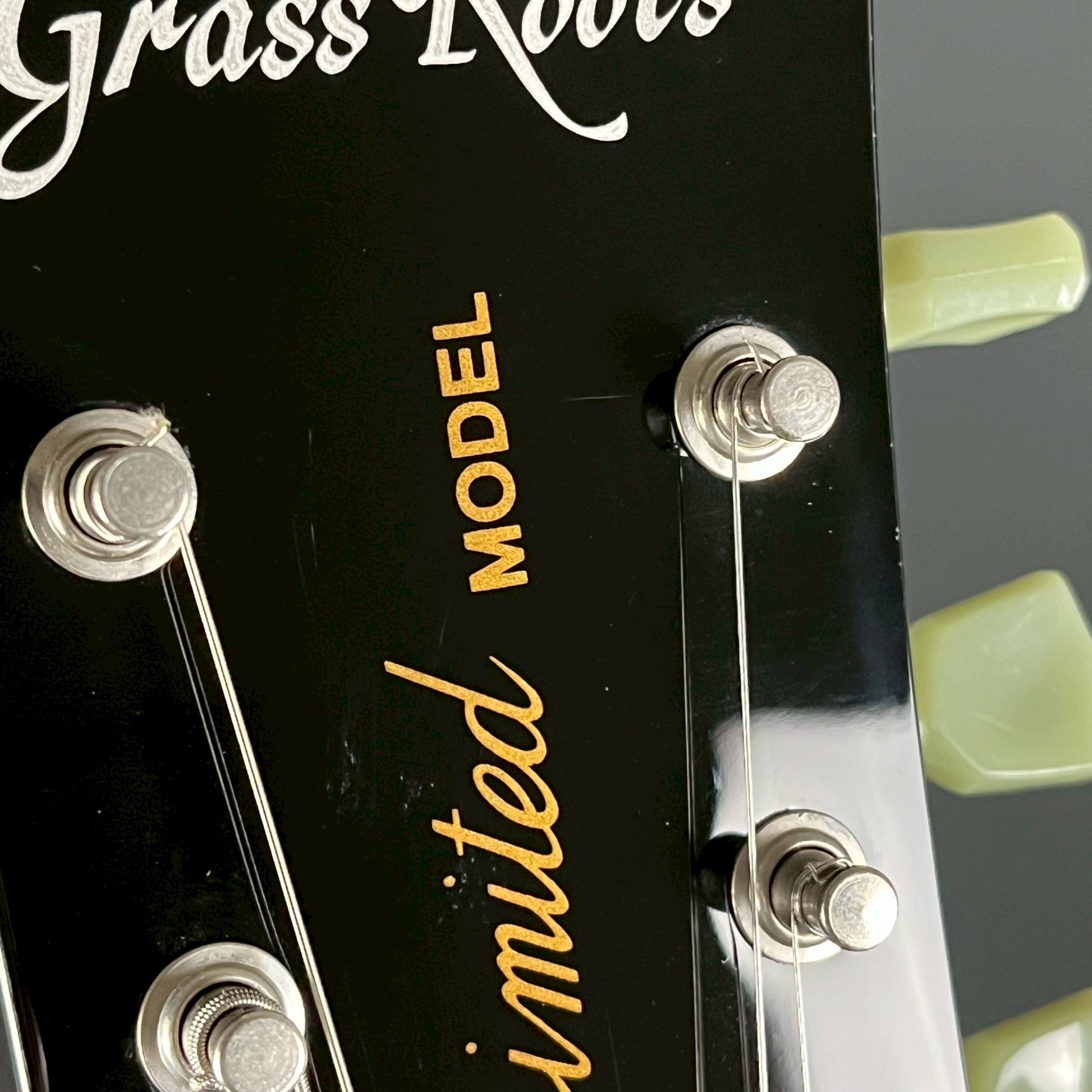 GrassRoots G-LP-60S