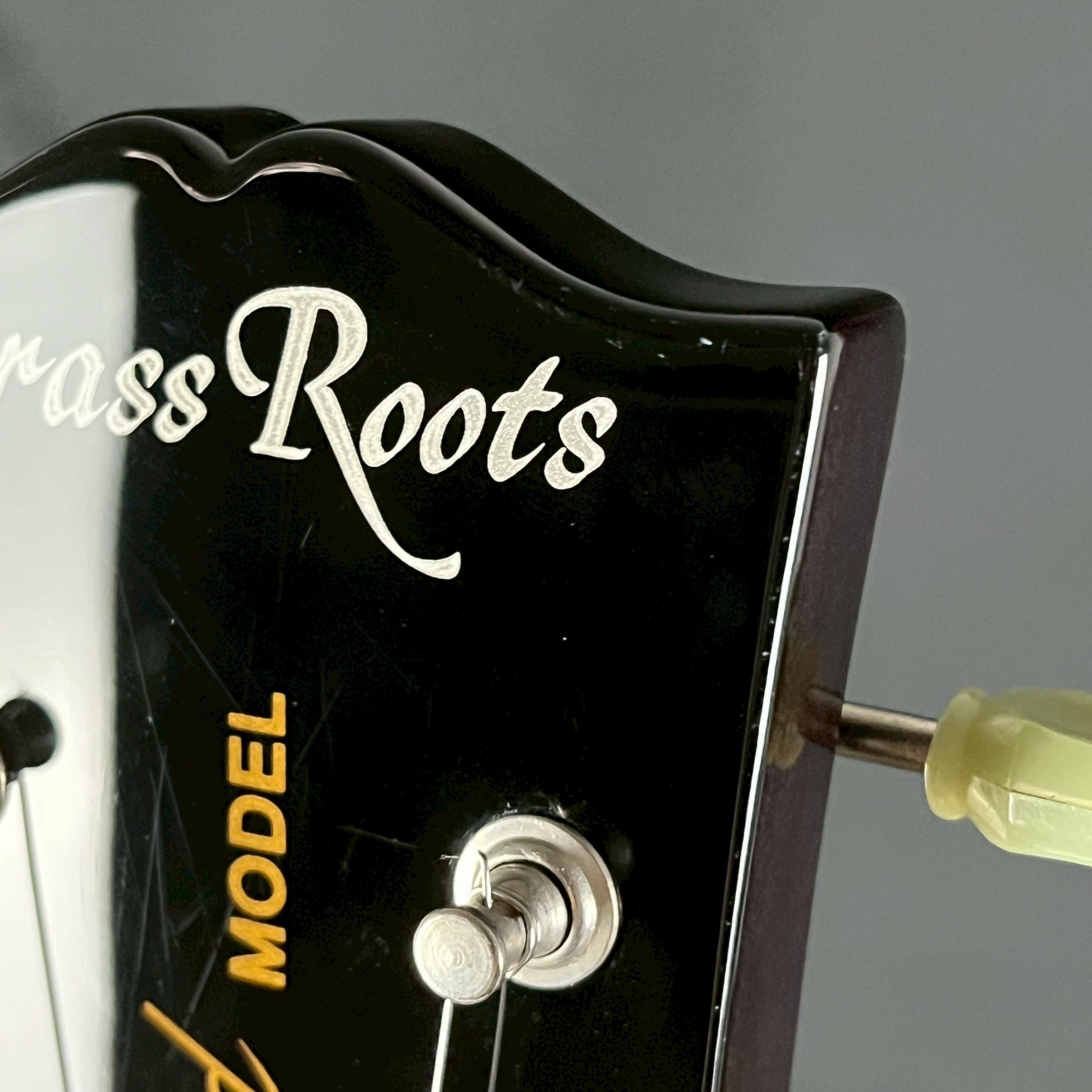 GrassRoots G-LP-60S