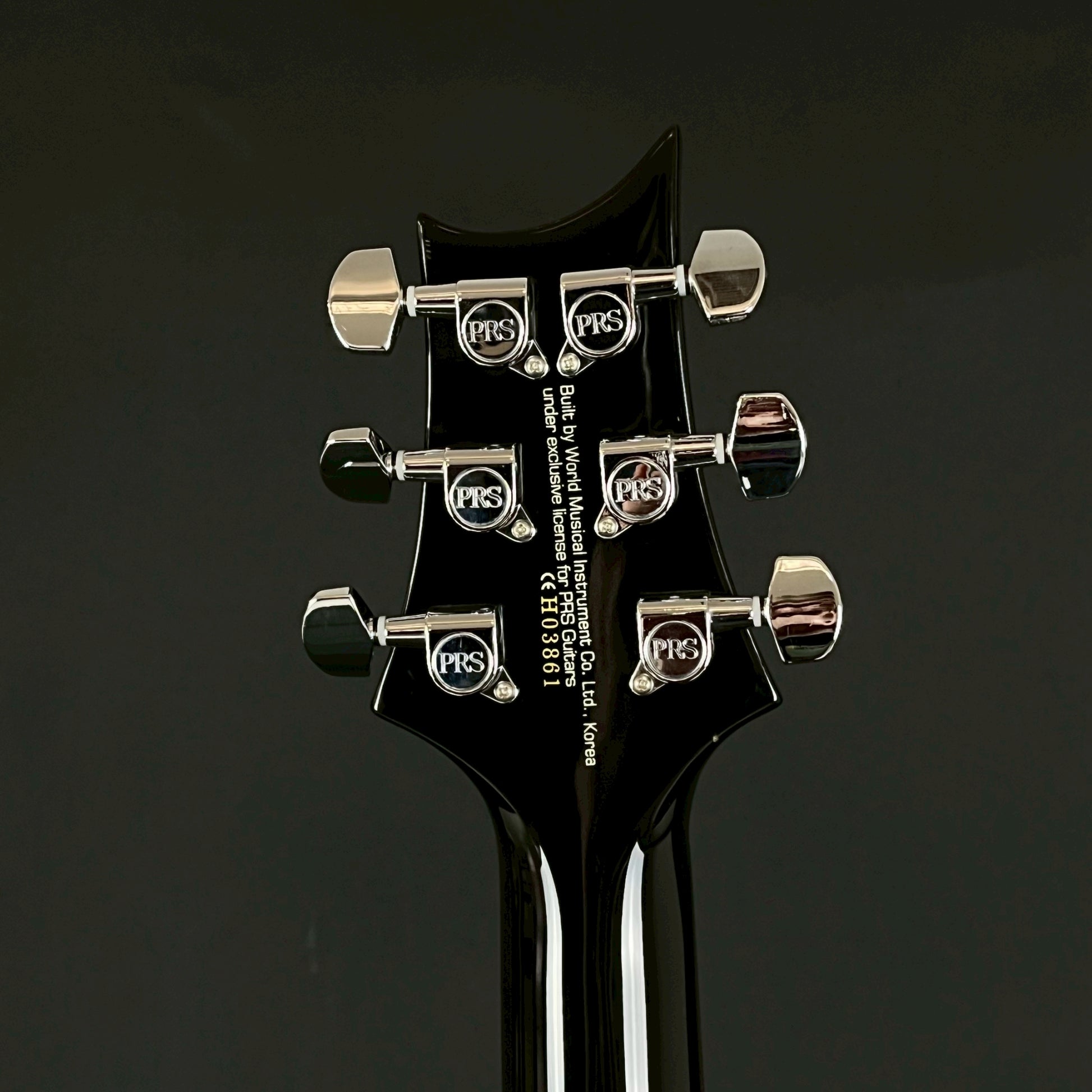 PRS SE Custom 22