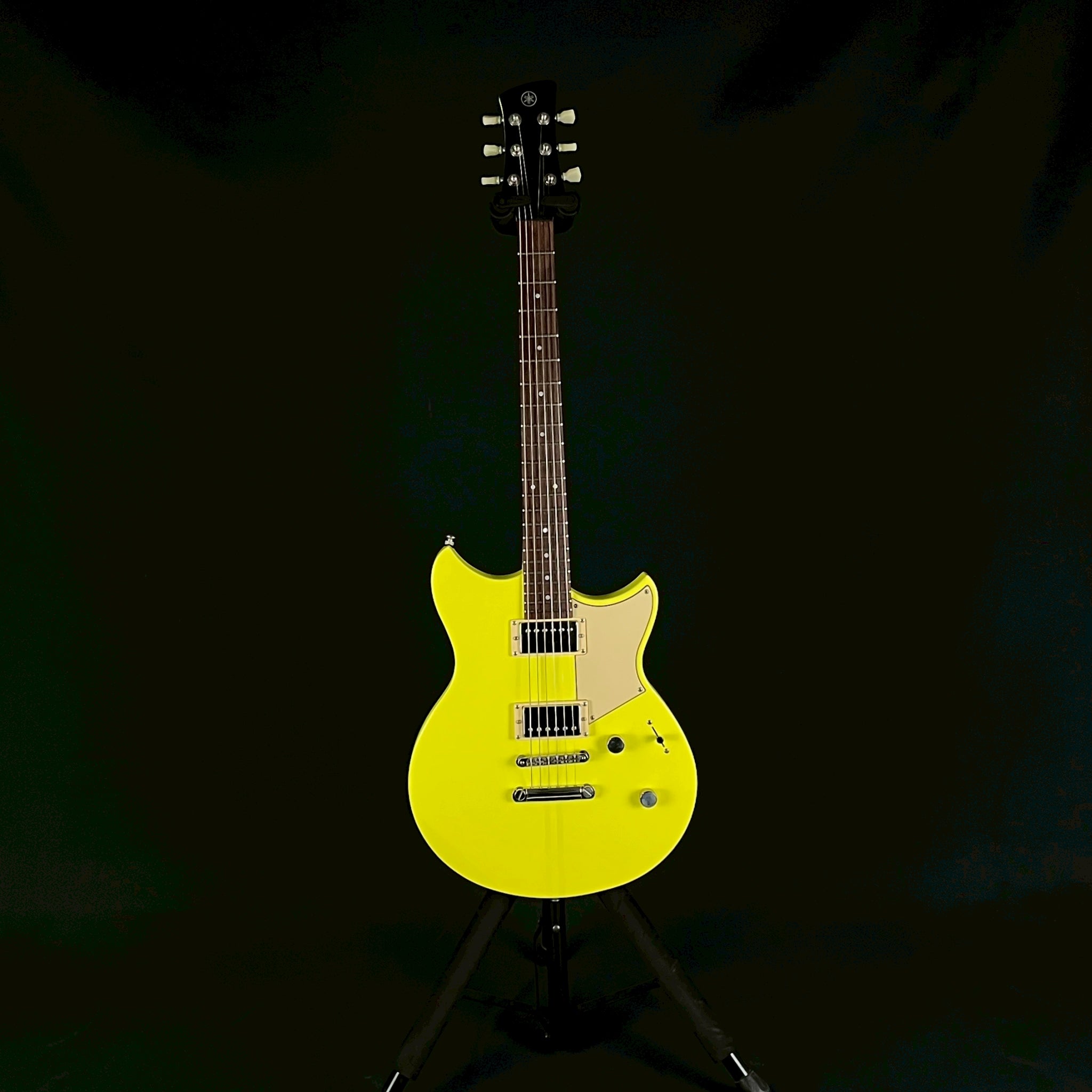 YAMAHA RSE20