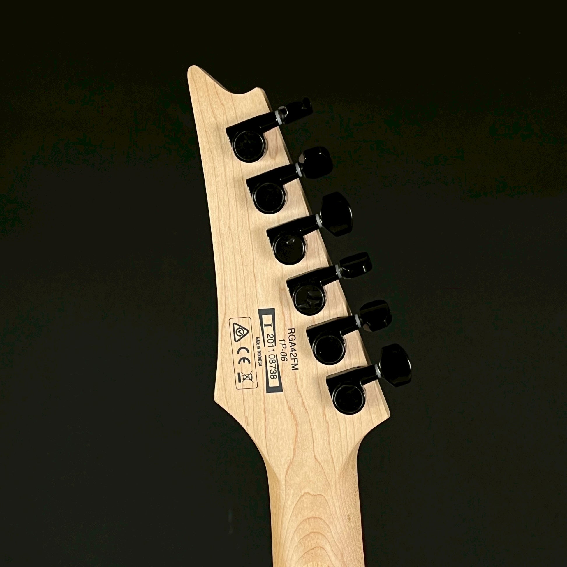 Ibanez RGA42FM