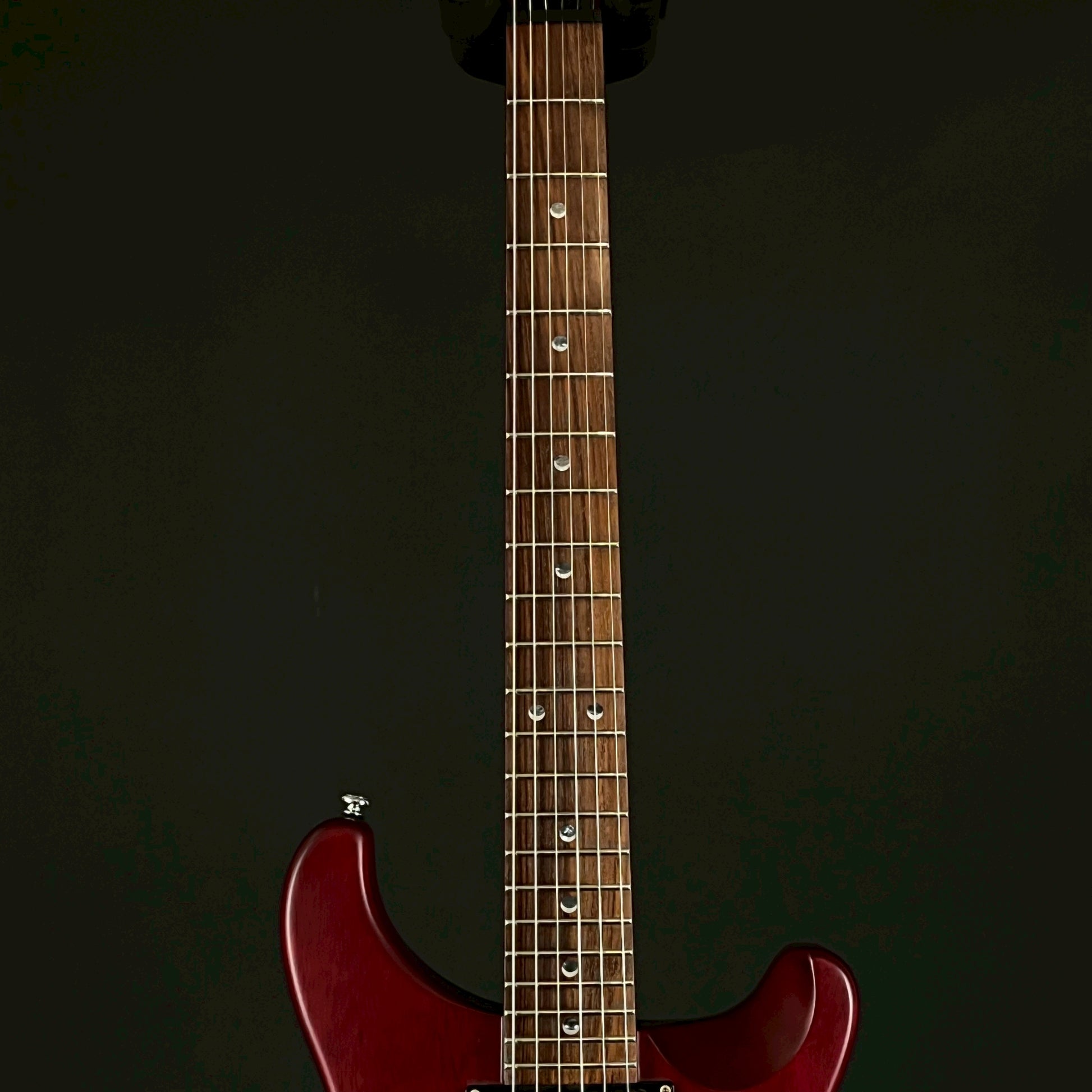 PRS SE Standard 2007