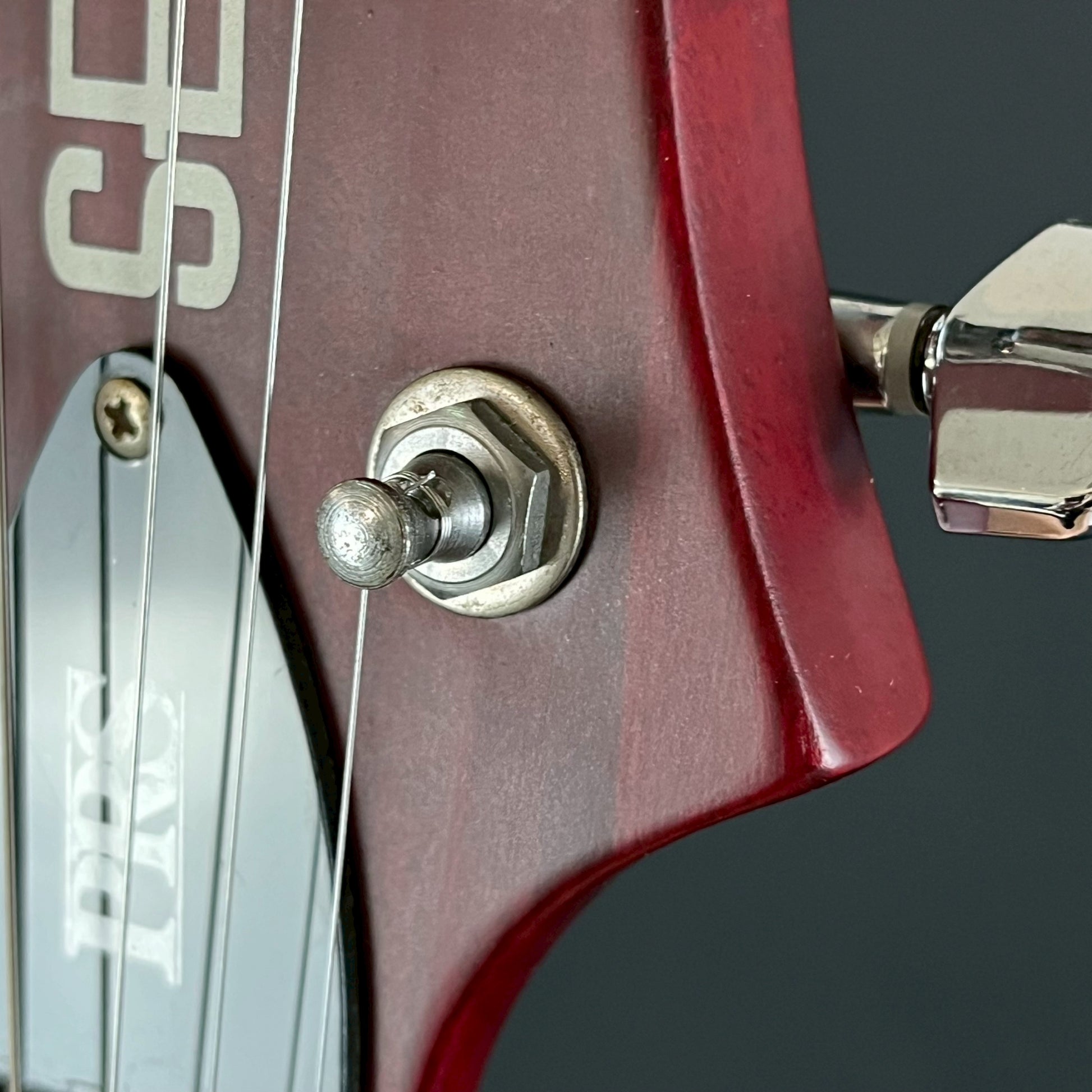 PRS SE Standard 2007