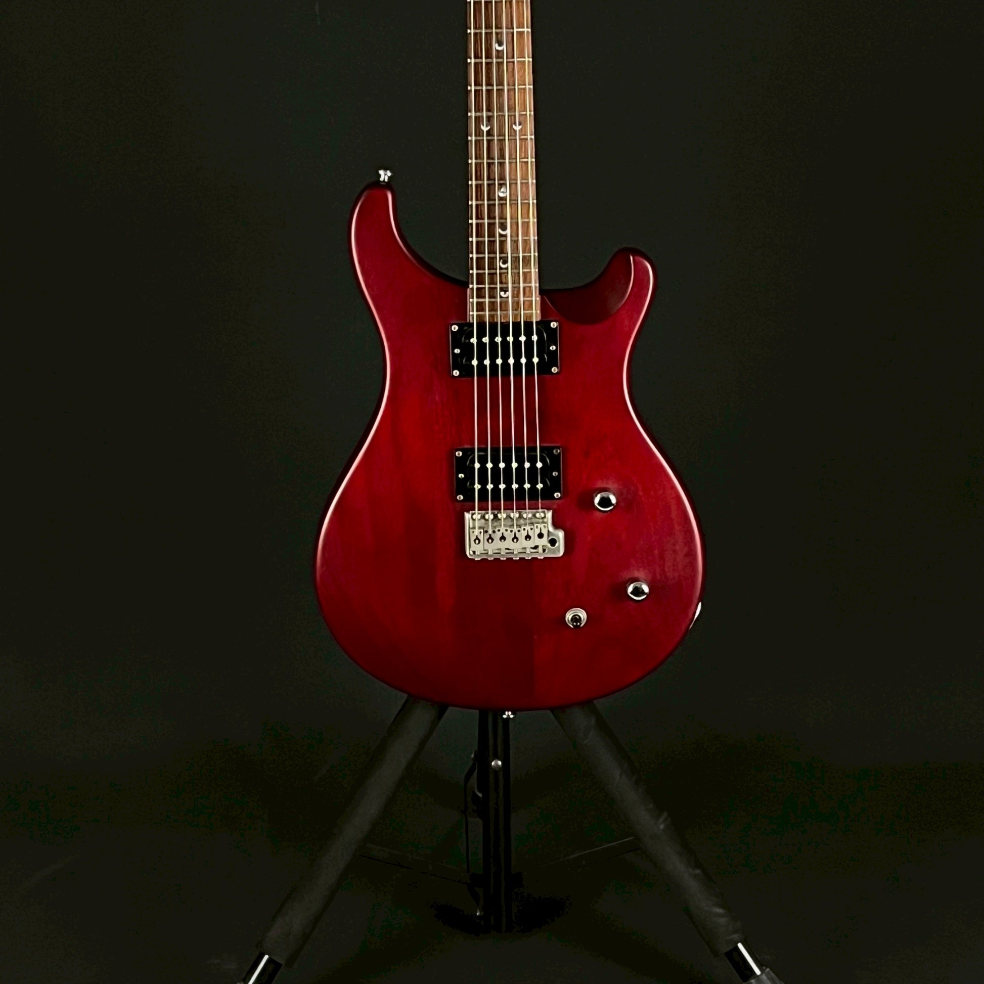 PRS SE Standard 2007