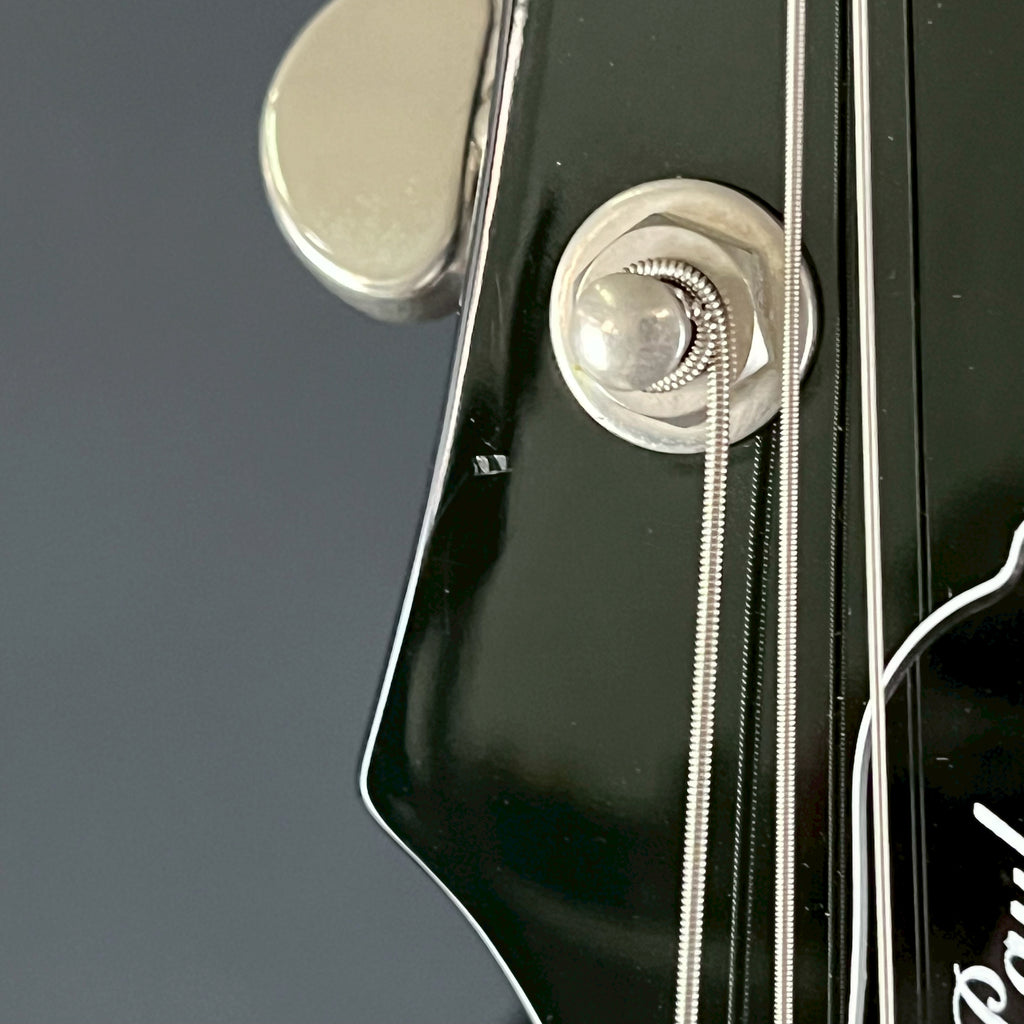 Epiphone Les Paul Standard Pro 2017