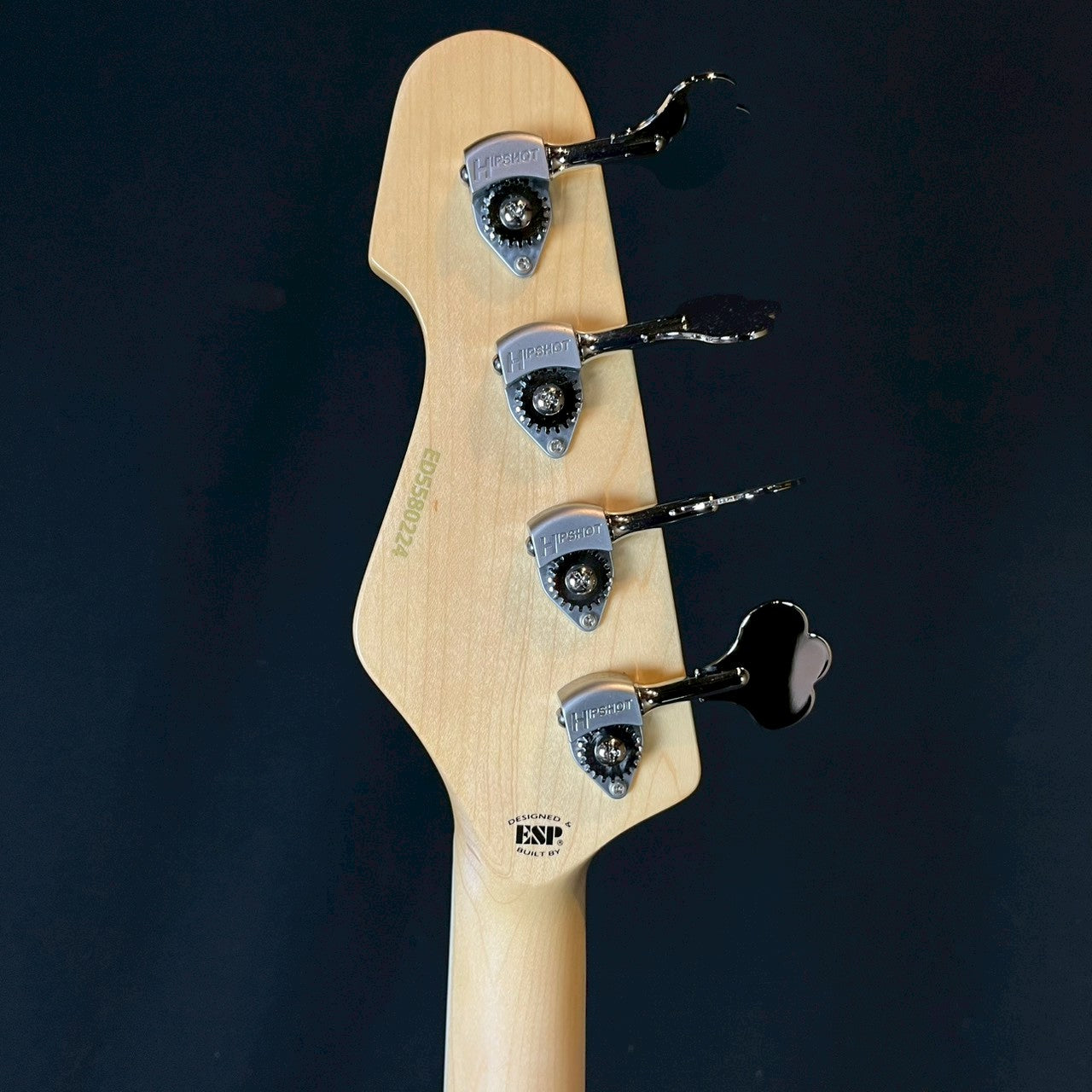 EDWARDS E-AMAZE-AS-4 Bass