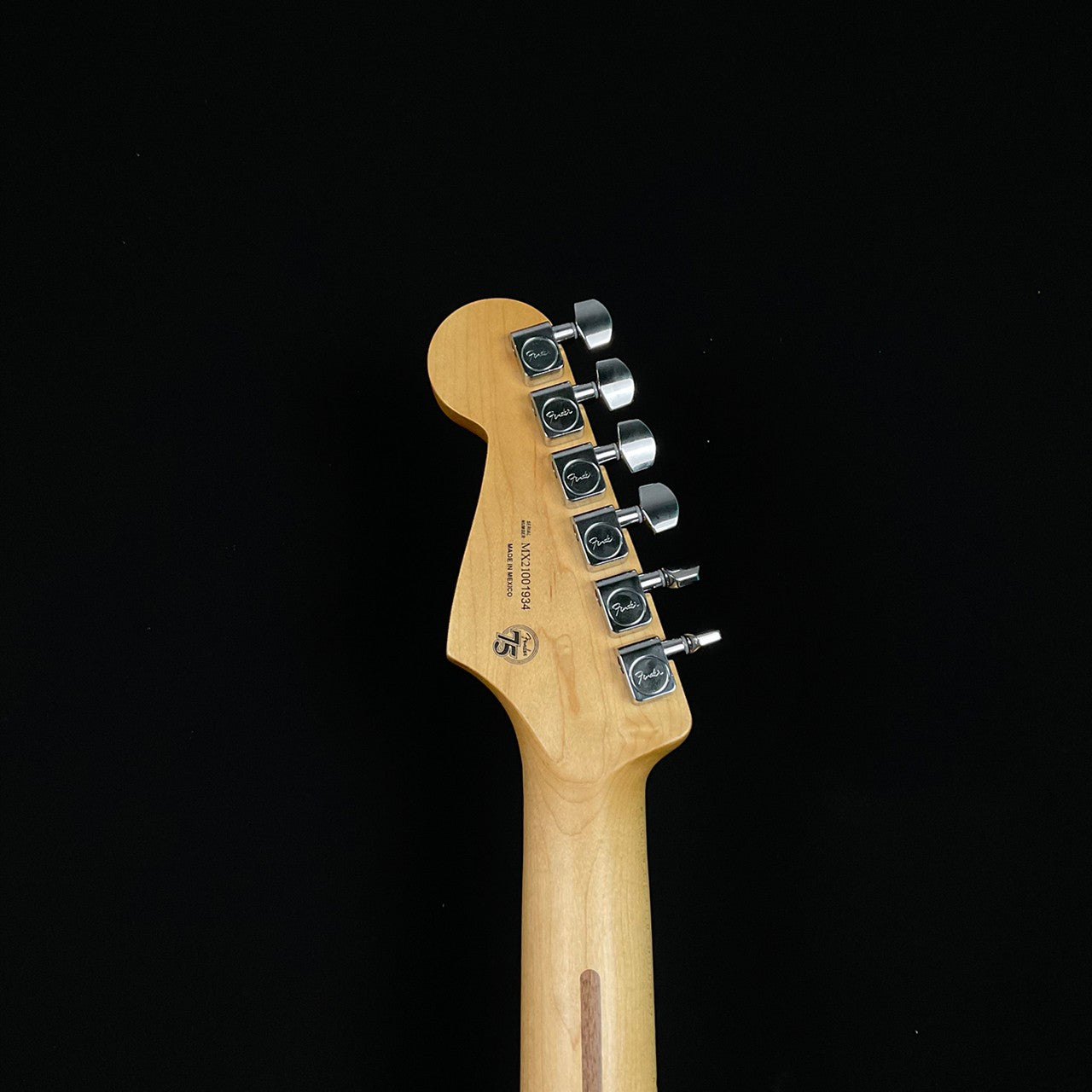 Fender Player Stratocaster