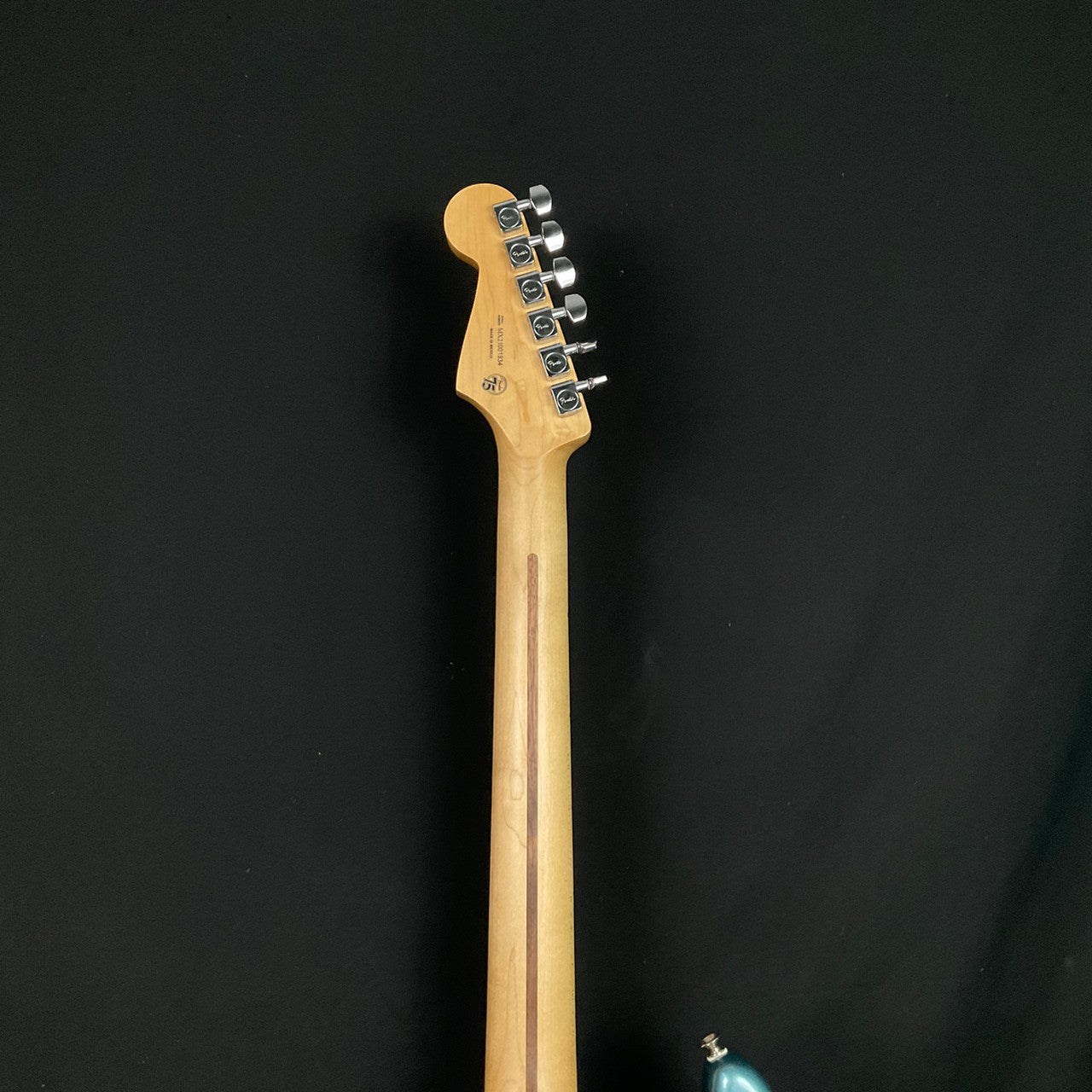 Fender Player Stratocaster