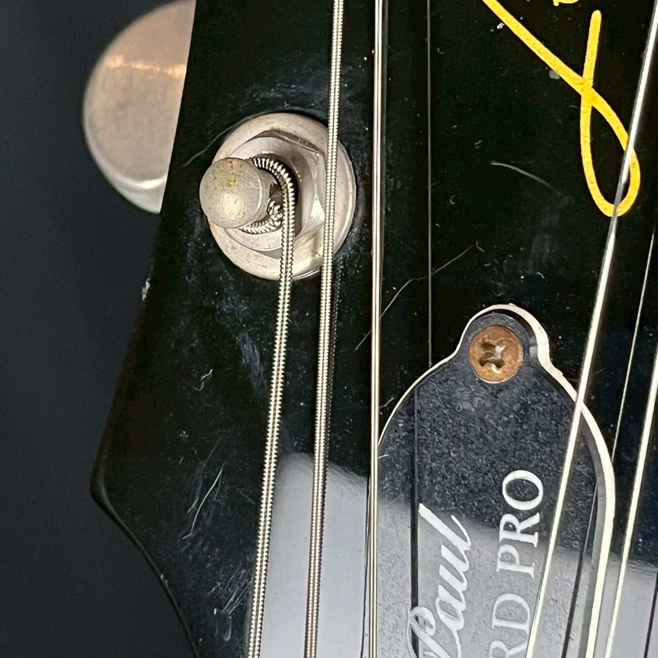 Epiphone Les Paul Standard Pro 2014